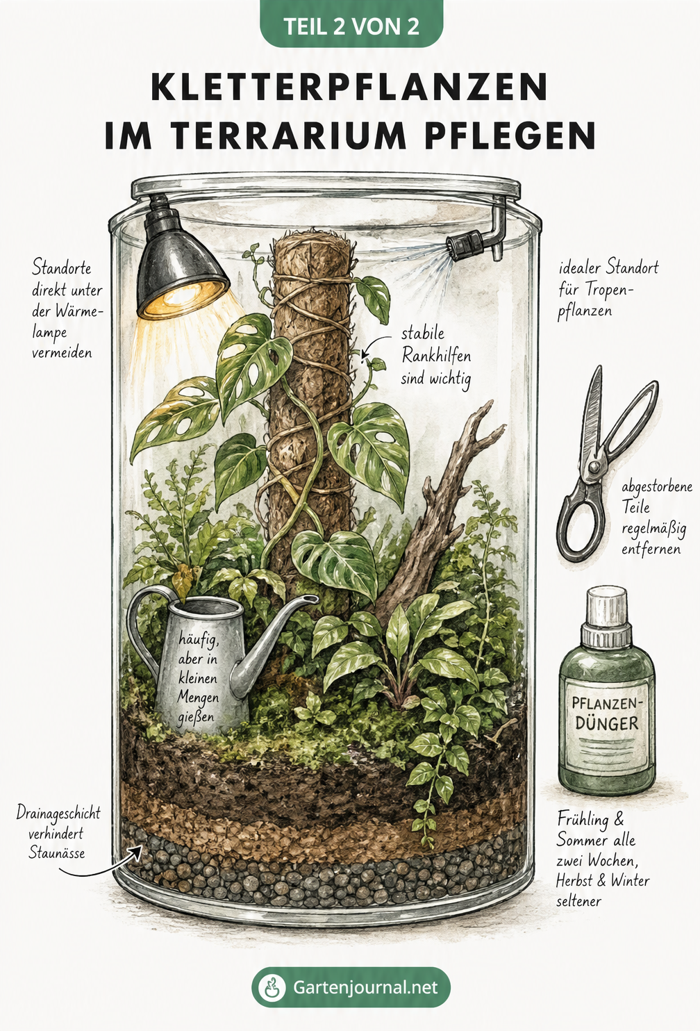 Querschnitt eines bepflanzten Terrariums mit Hinweisen zu Drainageschicht, Gießen, Rankhilfen, Wärmelampe, Beregnungsanlage, Schneiden und Düngen.