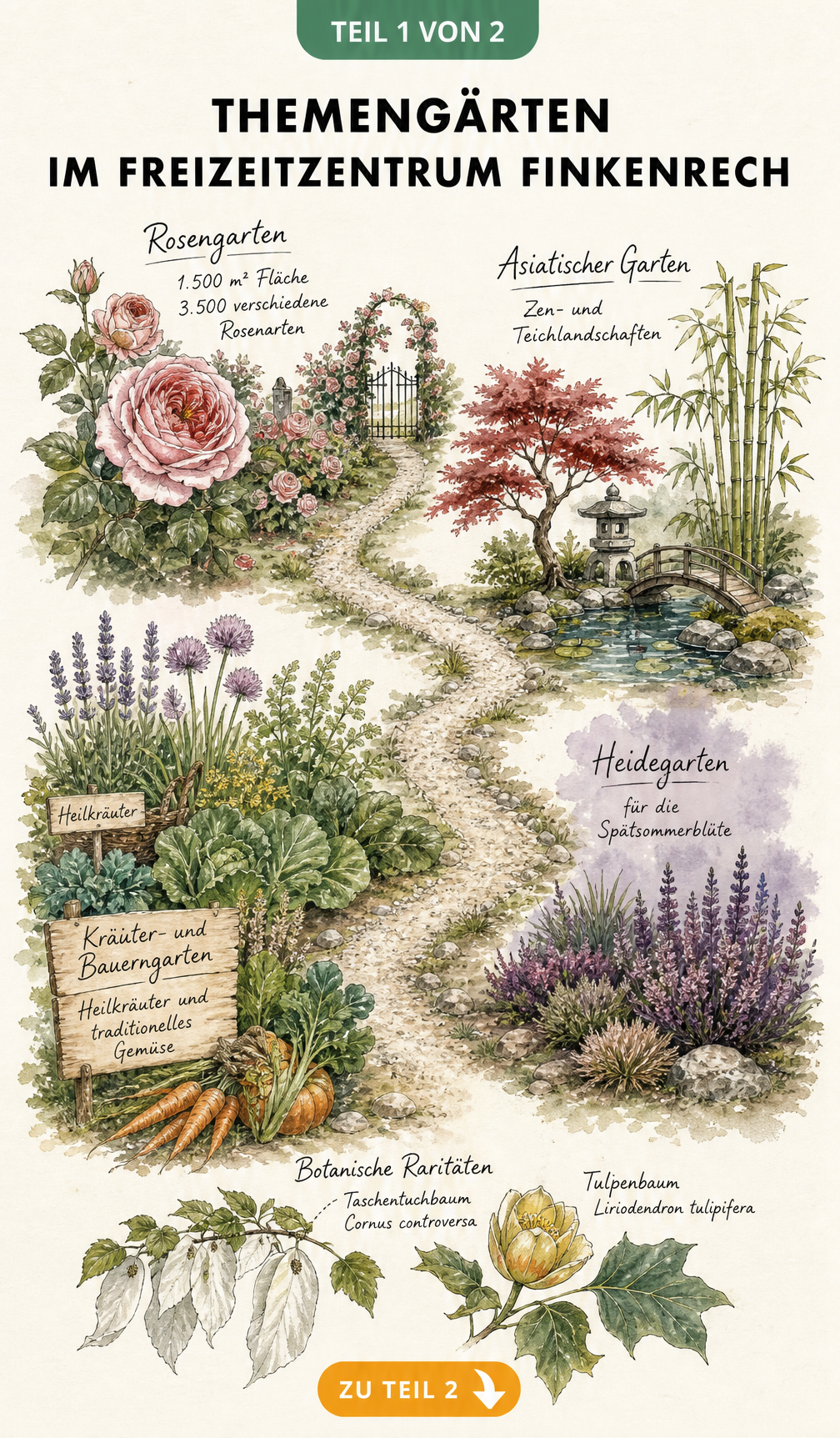 Handgezeichnete botanische Lehrtafel der Themengärten im Freizeitzentrum Finkenrech mit Rosengarten, Asiatischem Garten, Kräutergarten und Heidegarten