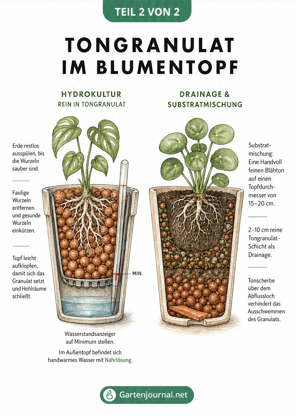 Zwei bepflanzte Blumentöpfe im Querschnitt: links eine reine Hydrokultur mit Wasserstandsanzeiger, rechts eine Mischung aus Erde und Tongranulat als Drainage.
