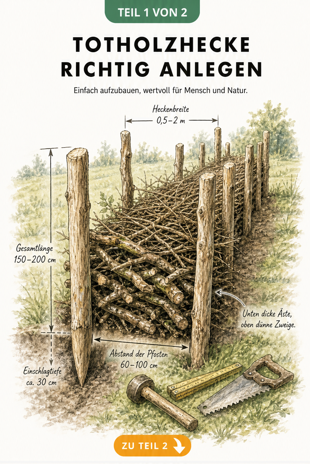 Schnittzeichnung einer Totholzhecke im Aufbau mit Holzpfosten, dicken Ästen unten und feinem Reisig oben
