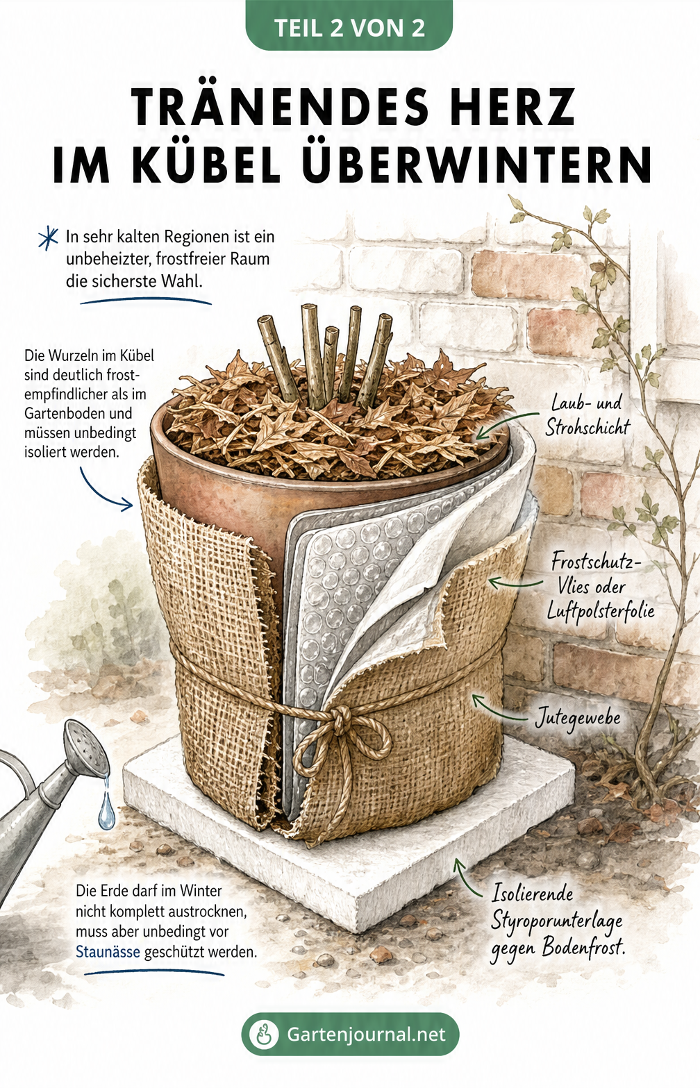 Schnittzeichnung eines Pflanzkübels mit Tränendem Herz, isoliert mit Styropor, Jutegewebe, Luftpolsterfolie und Laubschicht