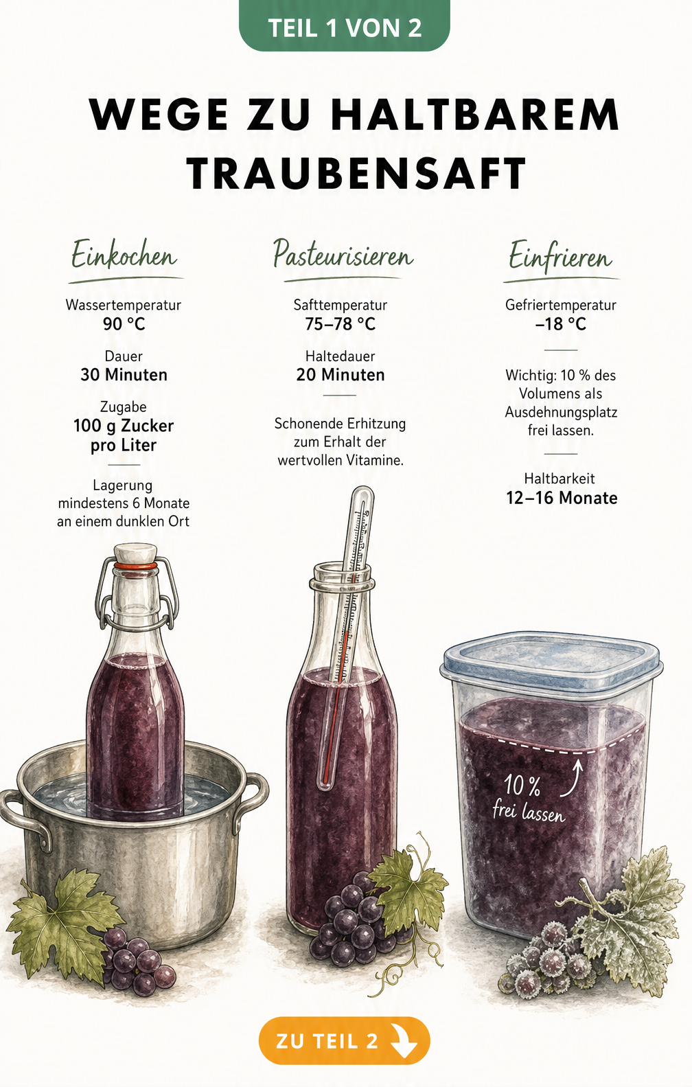 Illustration von drei Konservierungsmethoden für Traubensaft: Einkochen im Wasserbad, Pasteurisieren mit Thermometer und Einfrieren im Kunststoffbehälter.