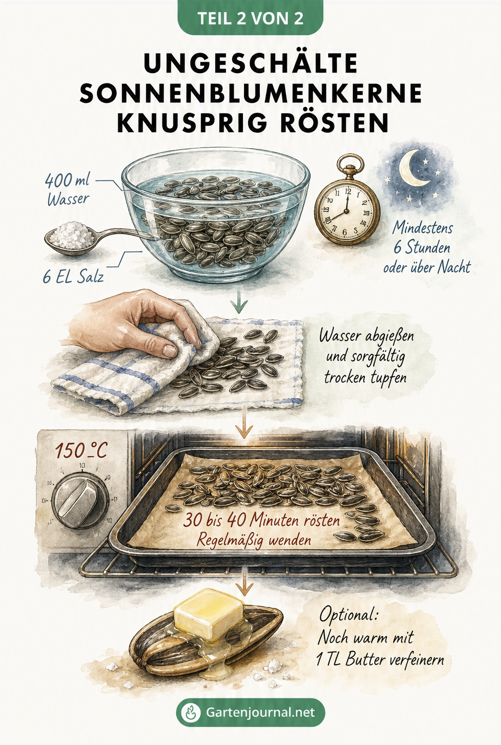 Illustration der Vorbereitung und Röstung ungeschälter Sonnenblumenkerne mit Einweichen in Salzwasser