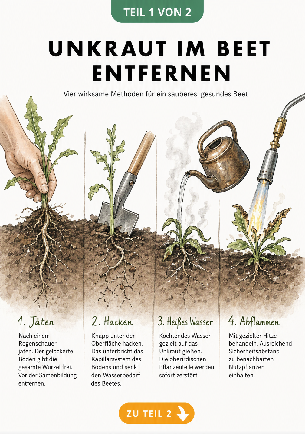 Illustration verschiedener Methoden zur Unkrautentfernung im Gartenbeet wie Jäten, Hacken, kochendes Wasser und Abflammen
