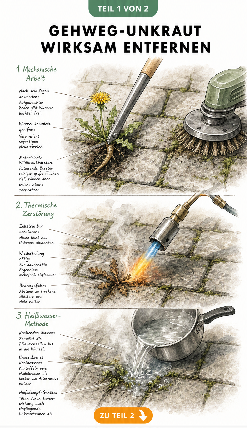 Aufsicht auf einen gepflasterten Gartenweg mit drei Methoden zur Unkrautentfernung: Fugenkratzer, Abflammgerät und kochendes Wasser.