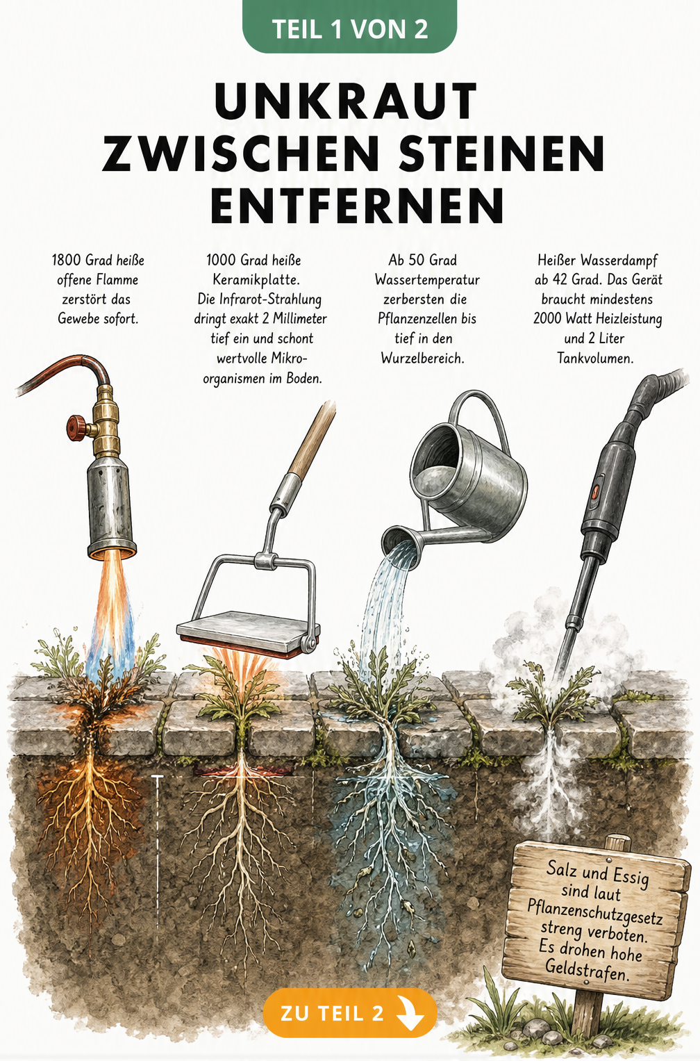 Querschnitt durch einen gepflasterten Gartenweg mit verschiedenen Methoden zur Unkrautentfernung zwischen Steinen