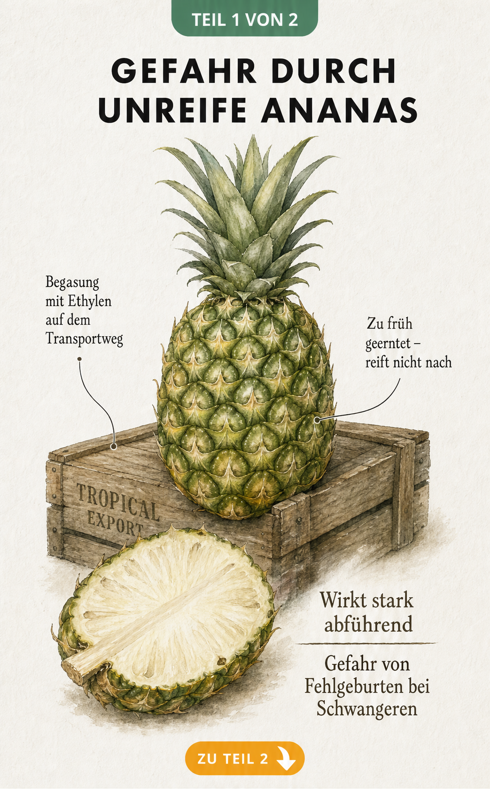 Illustration einer unreifen, grünen Ananas auf einer Transportkiste mit Hinweisen zu Begasung und gesundheitlichen Gefahren