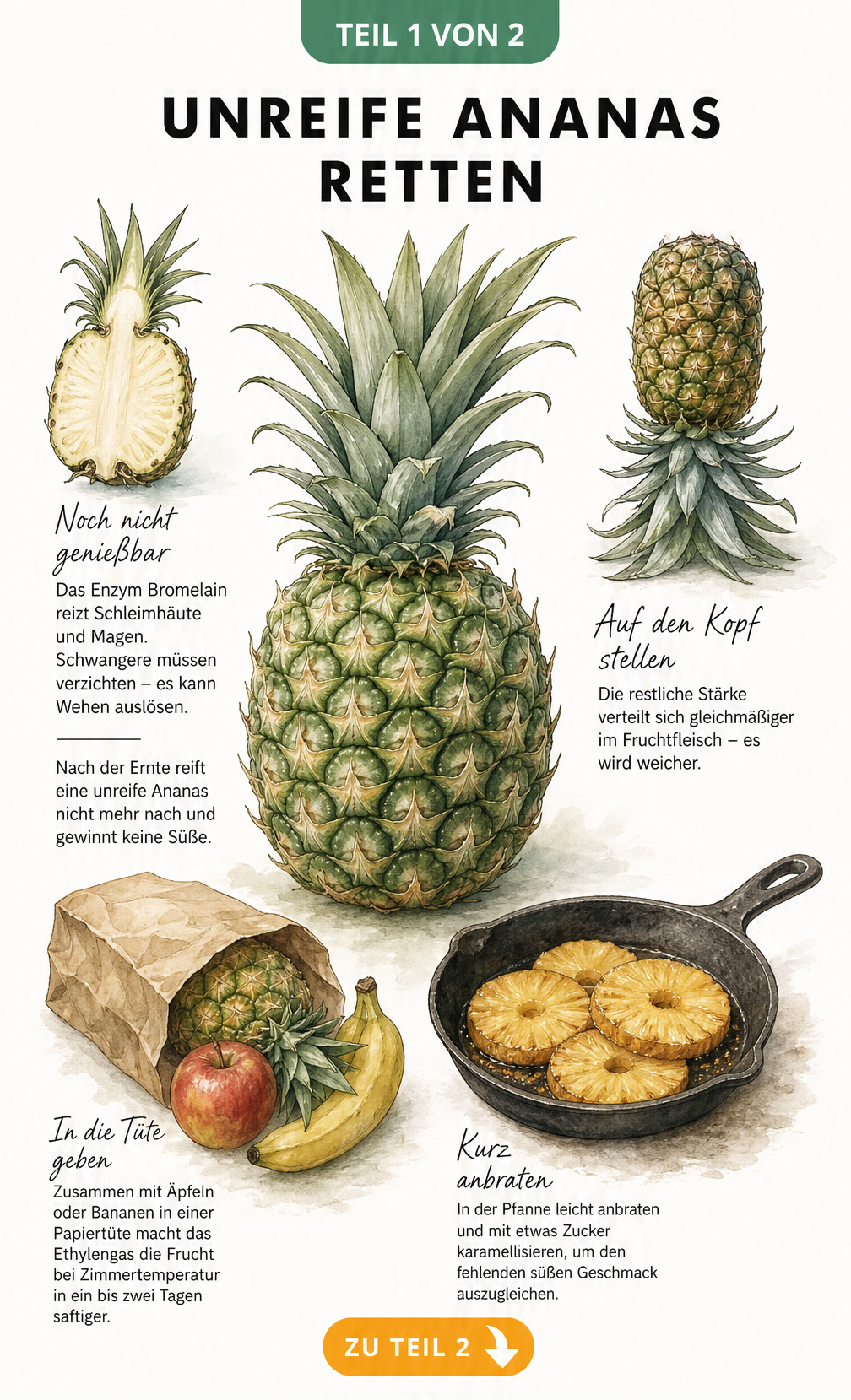 Illustration einer unreifen Ananas mit Tipps zur Rettung durch Lagerung und Erhitzen