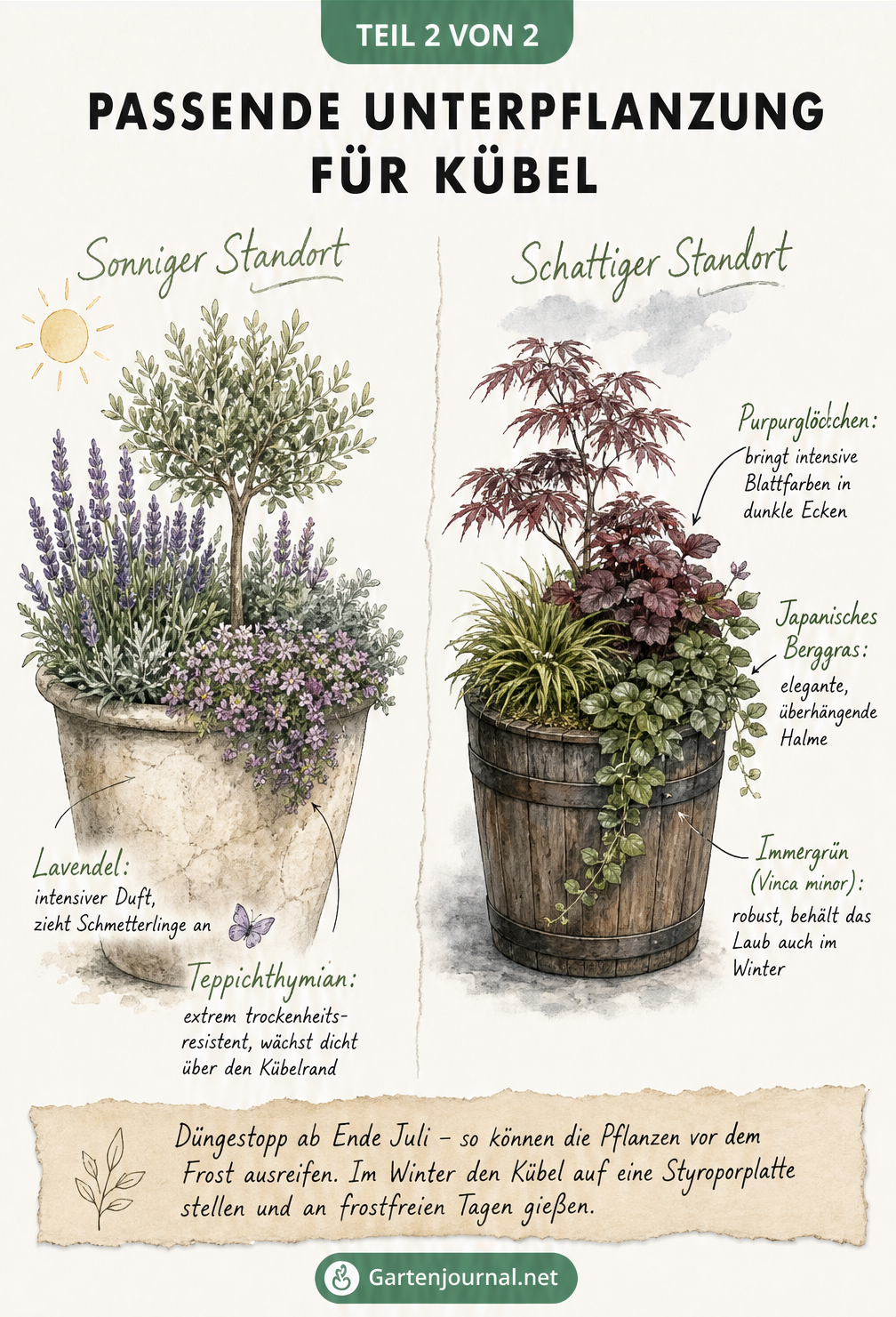Zwei bepflanzte Kübel im Vergleich: Ein heller Steinkübel für sonnige Standorte mit Lavendel und ein dunkler Holzkübel für schattige Plätze mit Purpurglöckchen