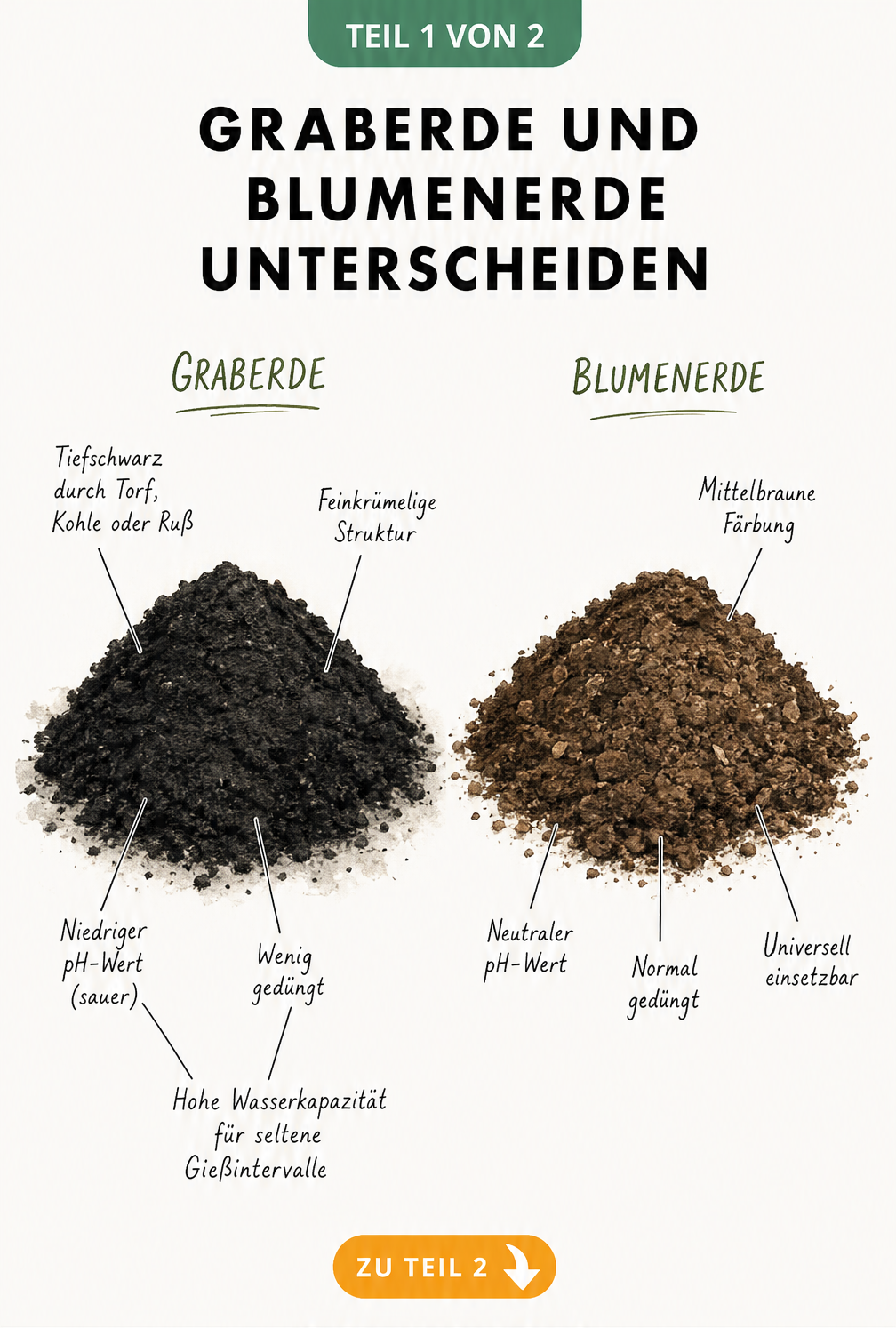 Illustration von Graberde und Blumenerde im Vergleich mit ihren Eigenschaften