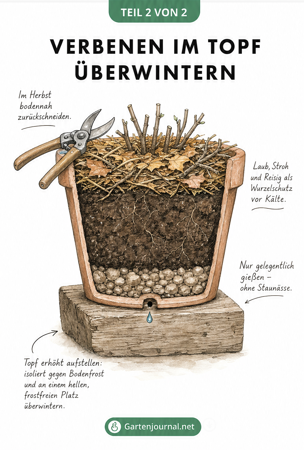 Querschnitt-Zeichnung eines Pflanztopfes mit einer überwinternden Verbene, Laubschicht als Frostschutz und Drainageschicht