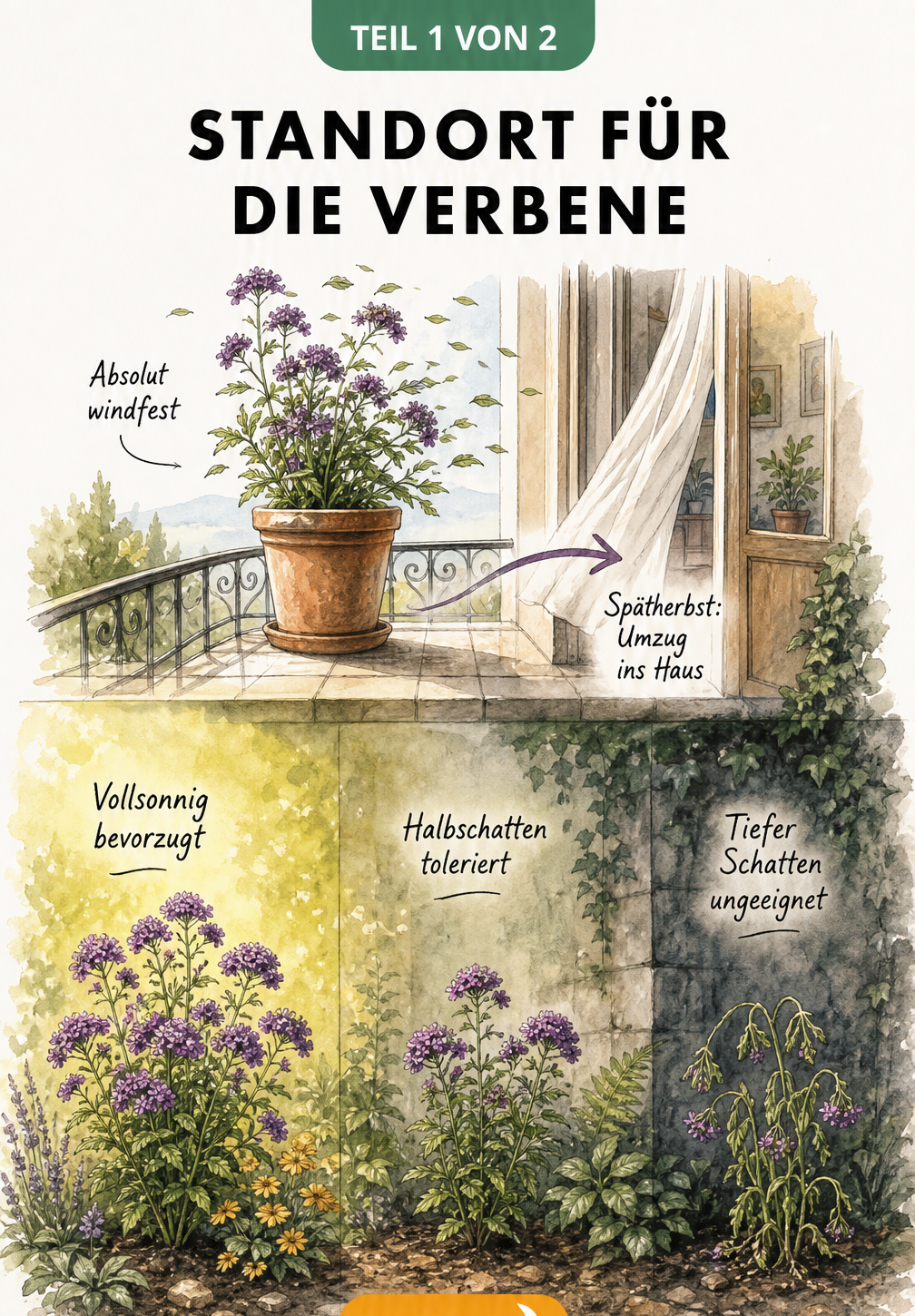 Illustration der Lichtverhältnisse für Verbenen: vollsonnig, halbschattig und tiefer Schatten sowie Windfestigkeit auf dem Balkon.