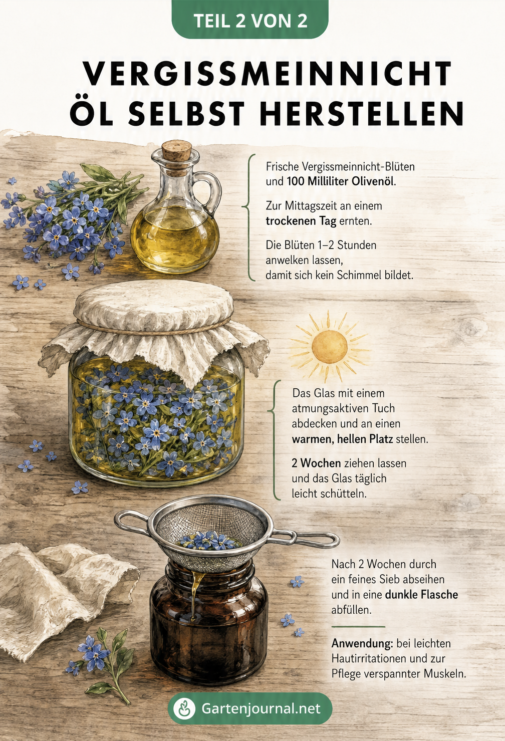 Illustrierte Anleitung zur Herstellung von Vergissmeinnicht-Öl auf einer rustikalen Holzwerkbank