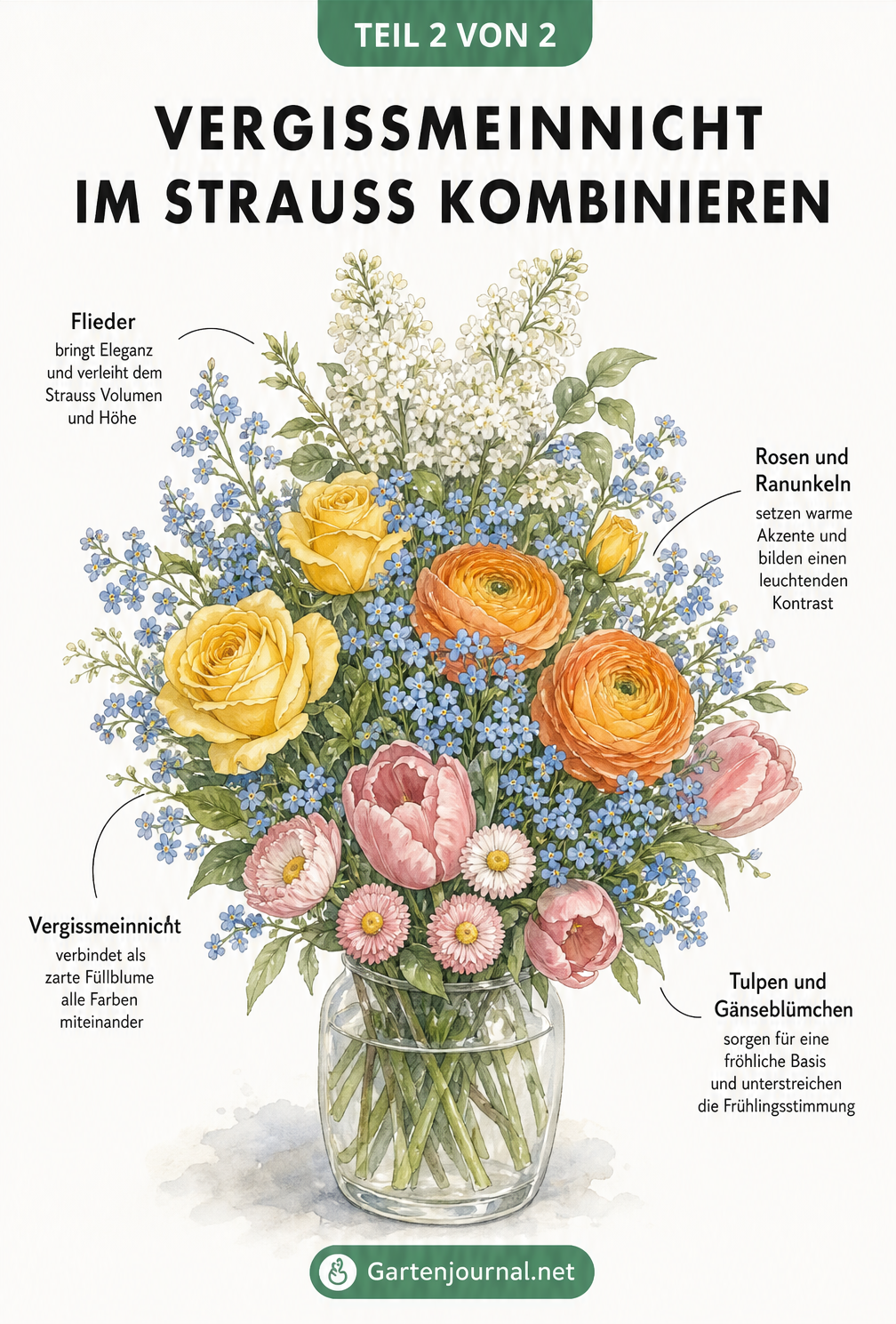 Aquarell-Zeichnung eines Frühlingsstraußes in einer Glasvase mit Vergissmeinnicht, Flieder, Rosen, Ranunkeln, Tulpen und Gänseblümchen