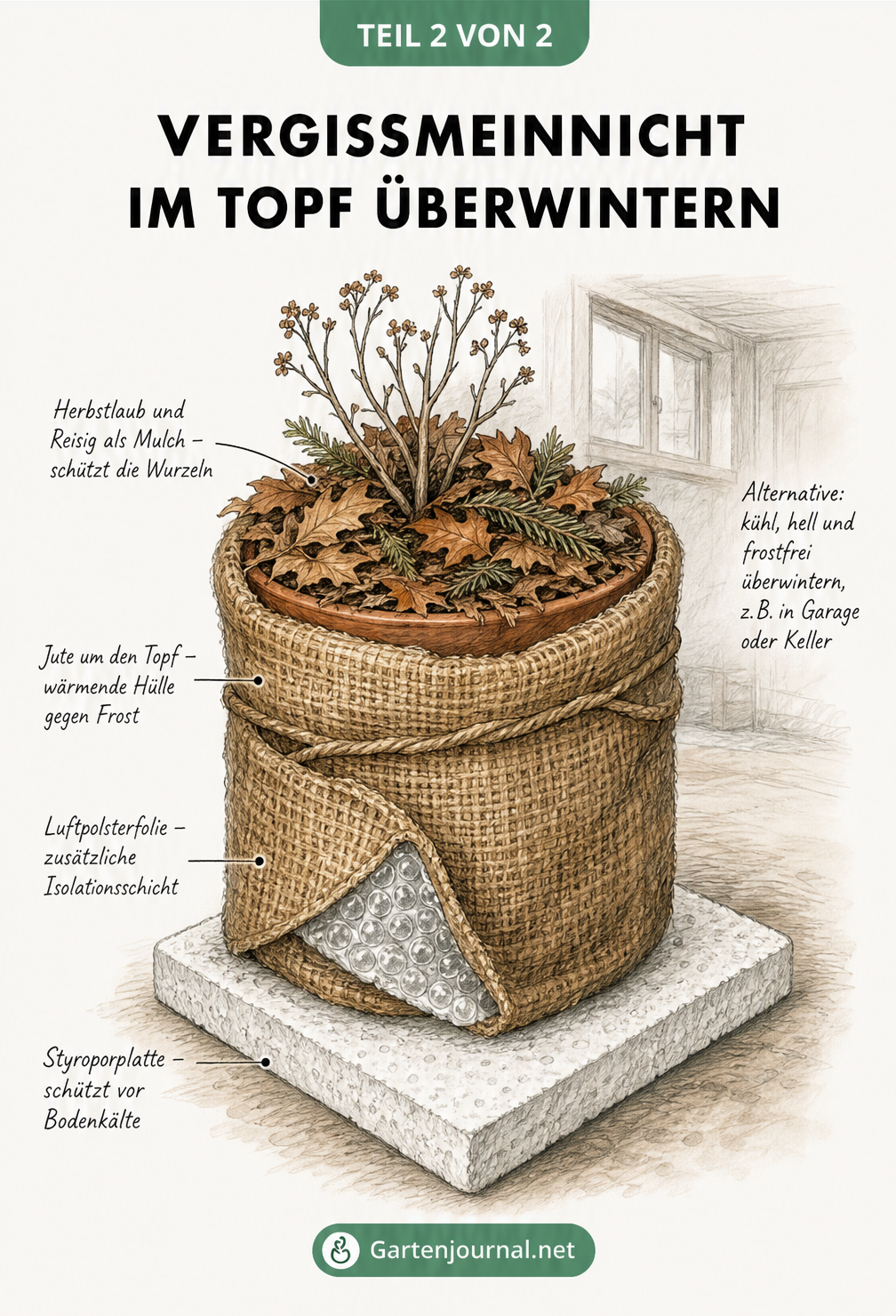Illustration eines Pflanztopfs im Winter mit Styroporplatte, Jute, Luftpolsterfolie und Laub als Frostschutz für Vergissmeinnicht