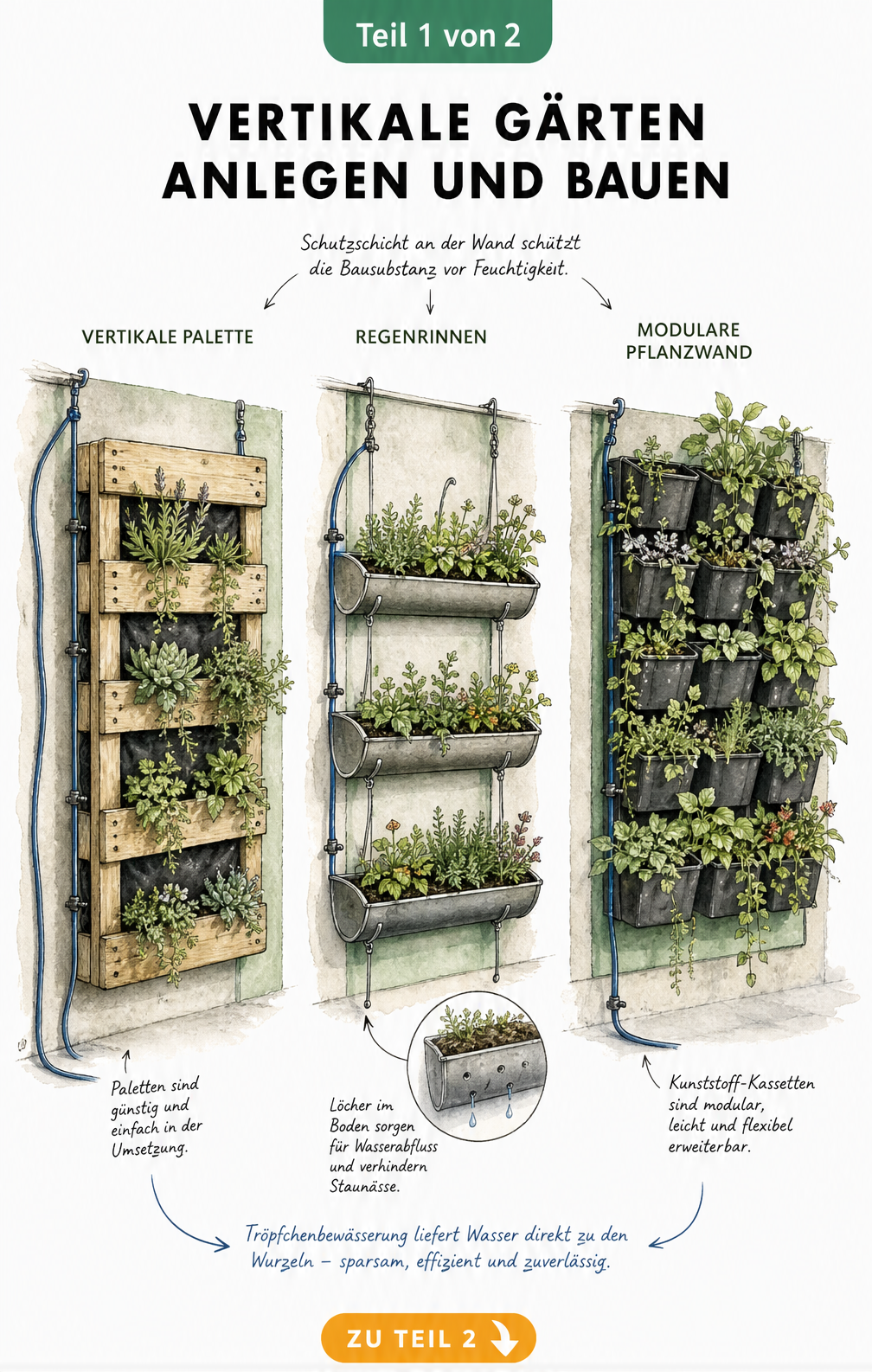 Illustration von drei Systemen für vertikale Gärten: Vertikale Palette, Regenrinnen und modulare Pflanzwand an einer Hauswand mit Tröpfchenbewässerung.