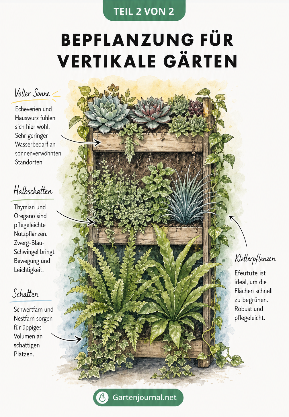 Botanische Illustration eines bepflanzten Pflanzturms mit Sukkulenten oben, Kräutern in der Mitte und Farnen im unteren Schattenbereich