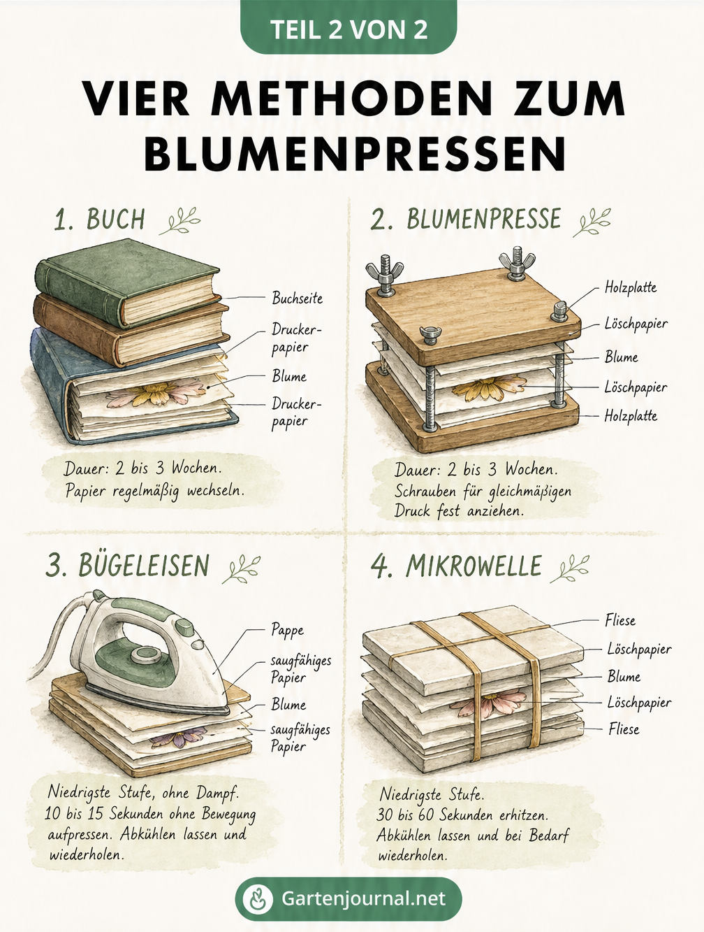 Skizzenhafte Darstellung von vier Methoden zum Blumenpressen: Buch, Blumenpresse, Bügeleisen und Mikrowelle
