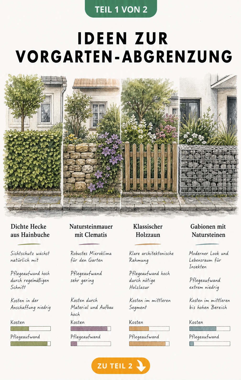 Vier verschiedene Vorgarten-Abgrenzungen im Vergleich: Hecke, Natursteinmauer, Holzzaun und Gabionen mit Bewertung von Kosten und Pflegeaufwand.