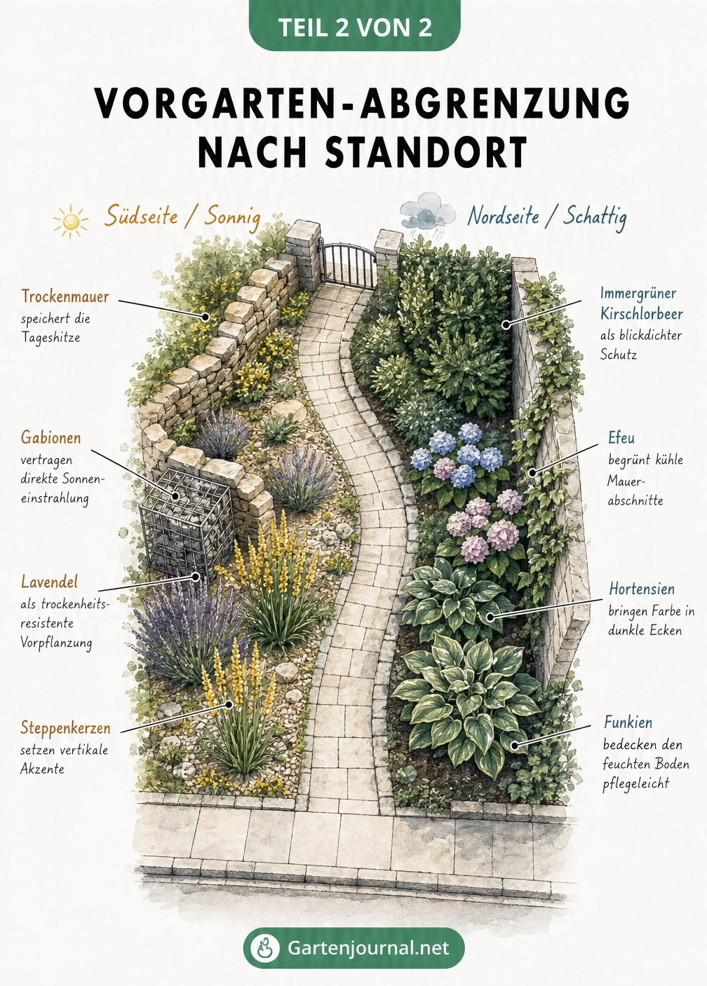 Illustration eines Vorgartens mit passenden Pflanzen und Materialien für sonnige und schattige Standorte.