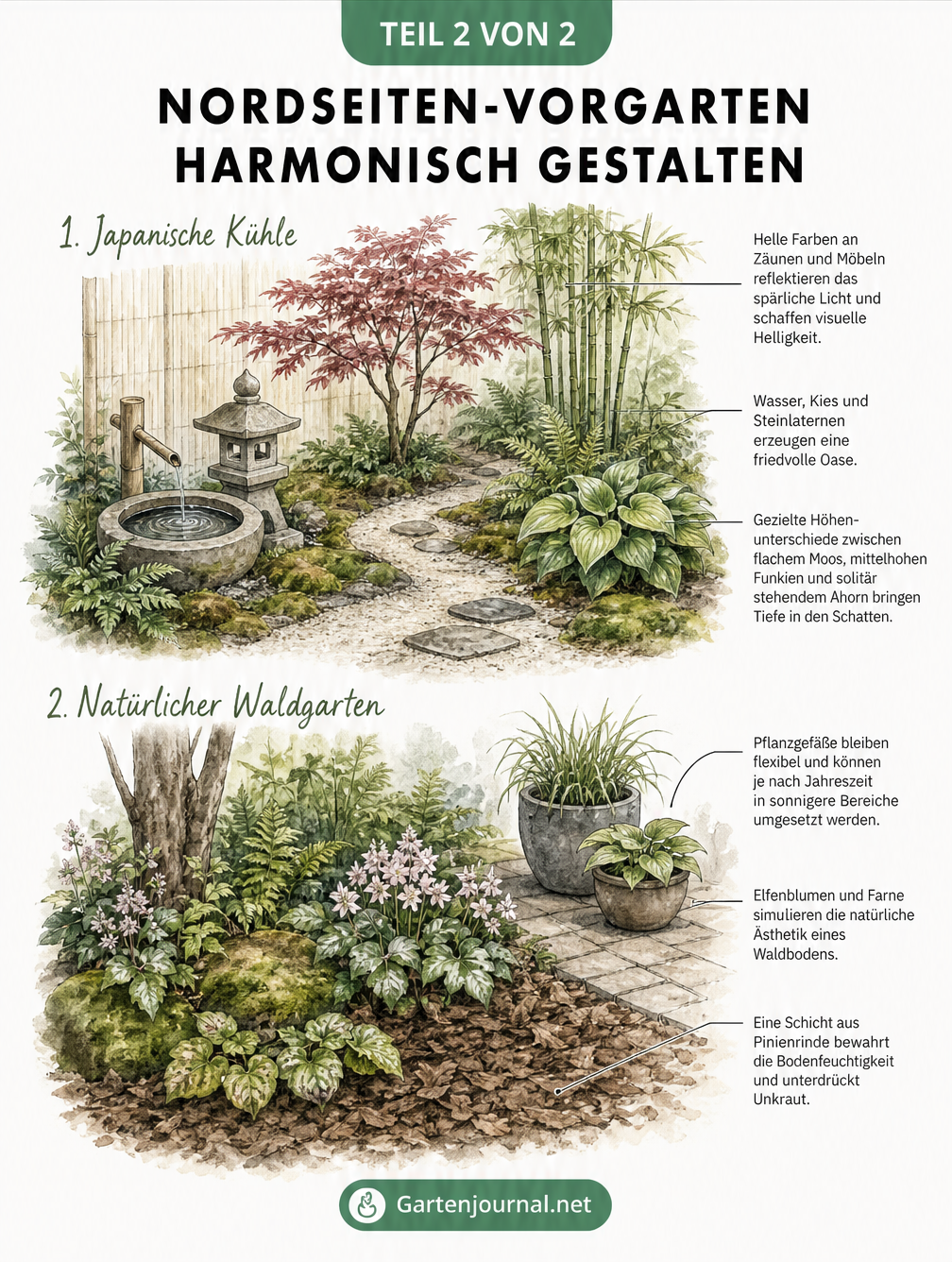 Zwei Landschaftsarchitektur-Skizzen für schattige Vorgärten: Japanischer Stil und natürlicher Waldgarten