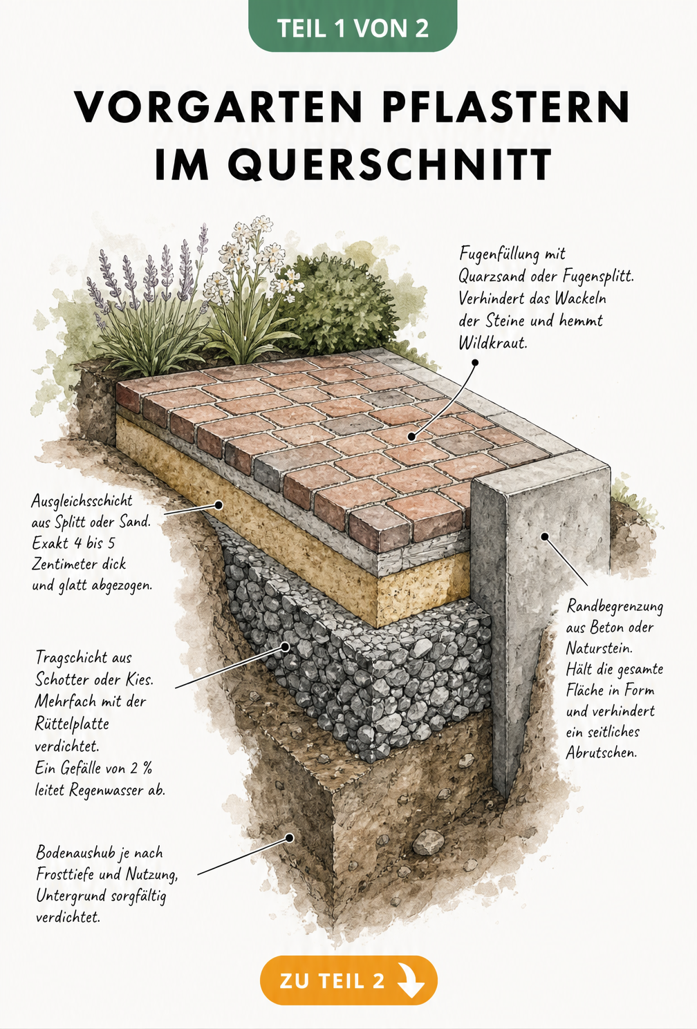 3D-Schnittzeichnung eines Bodenprofils beim Pflastern eines Vorgartens mit Erdschicht, Schotter, Splitt und Klinkersteinen