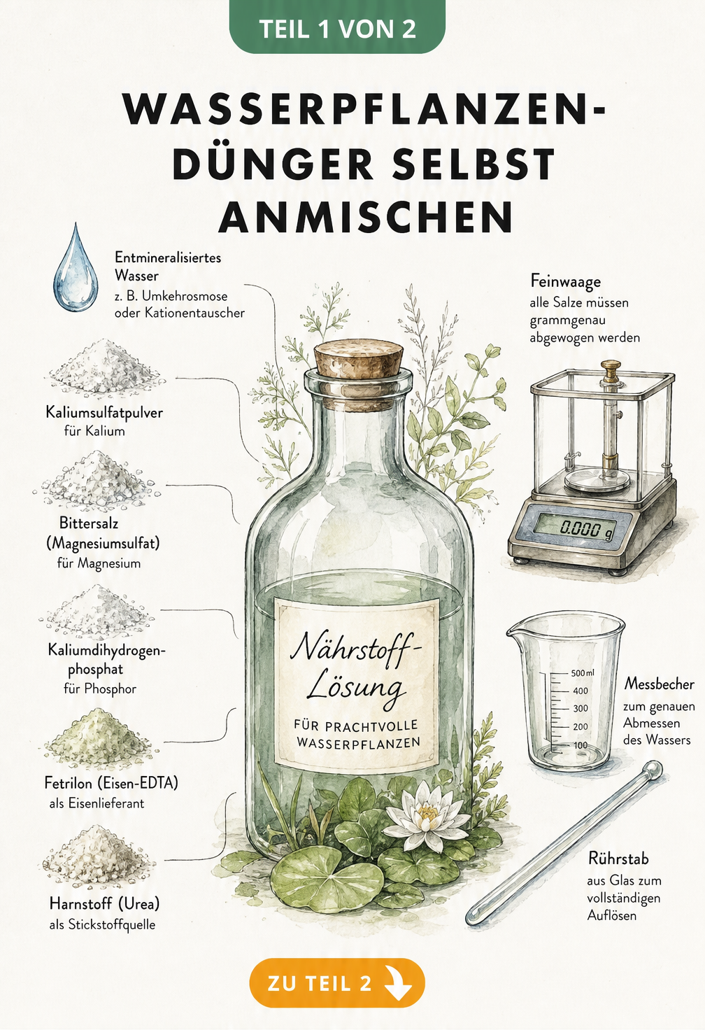 Illustration einer Vorratsflasche umrahmt von Nährsalzen wie Kaliumsulfat und Werkzeugen wie einer Feinwaage für Wasserpflanzen-Dünger
