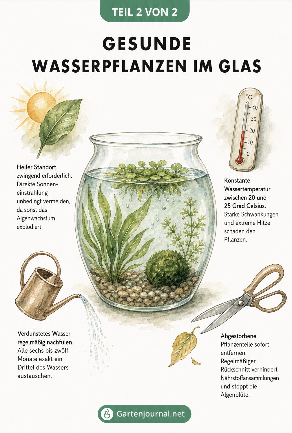 Illustration zur Pflege von Wasserpflanzen im Glas mit Sonne, Thermometer, Gießkanne und Schere