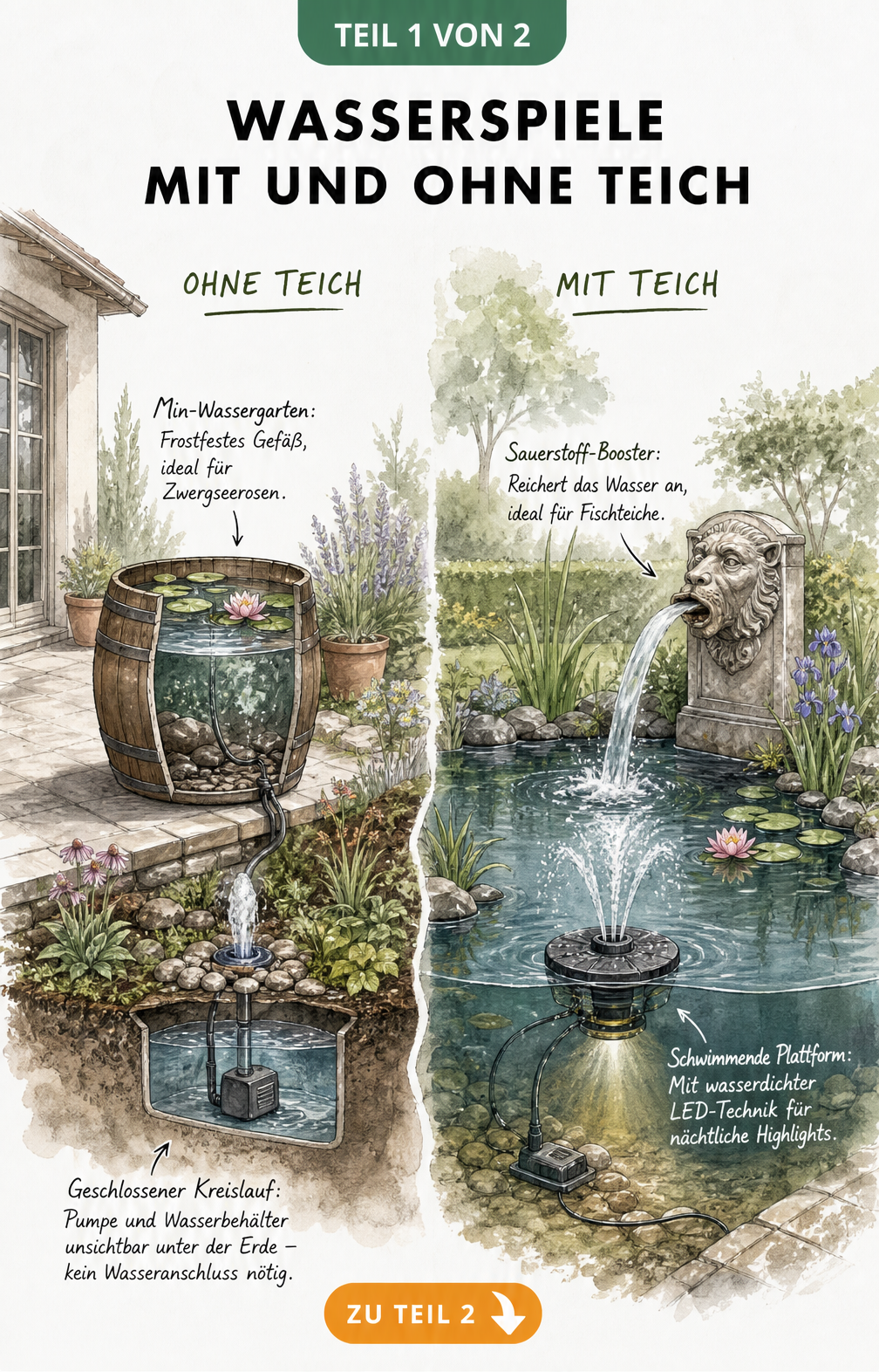 Querschnitt-Illustration von Wasserspielen im Garten mit und ohne Teich, inklusive Mini-Wassergarten im Holzfass und Fontäne mit LED-Beleuchtung