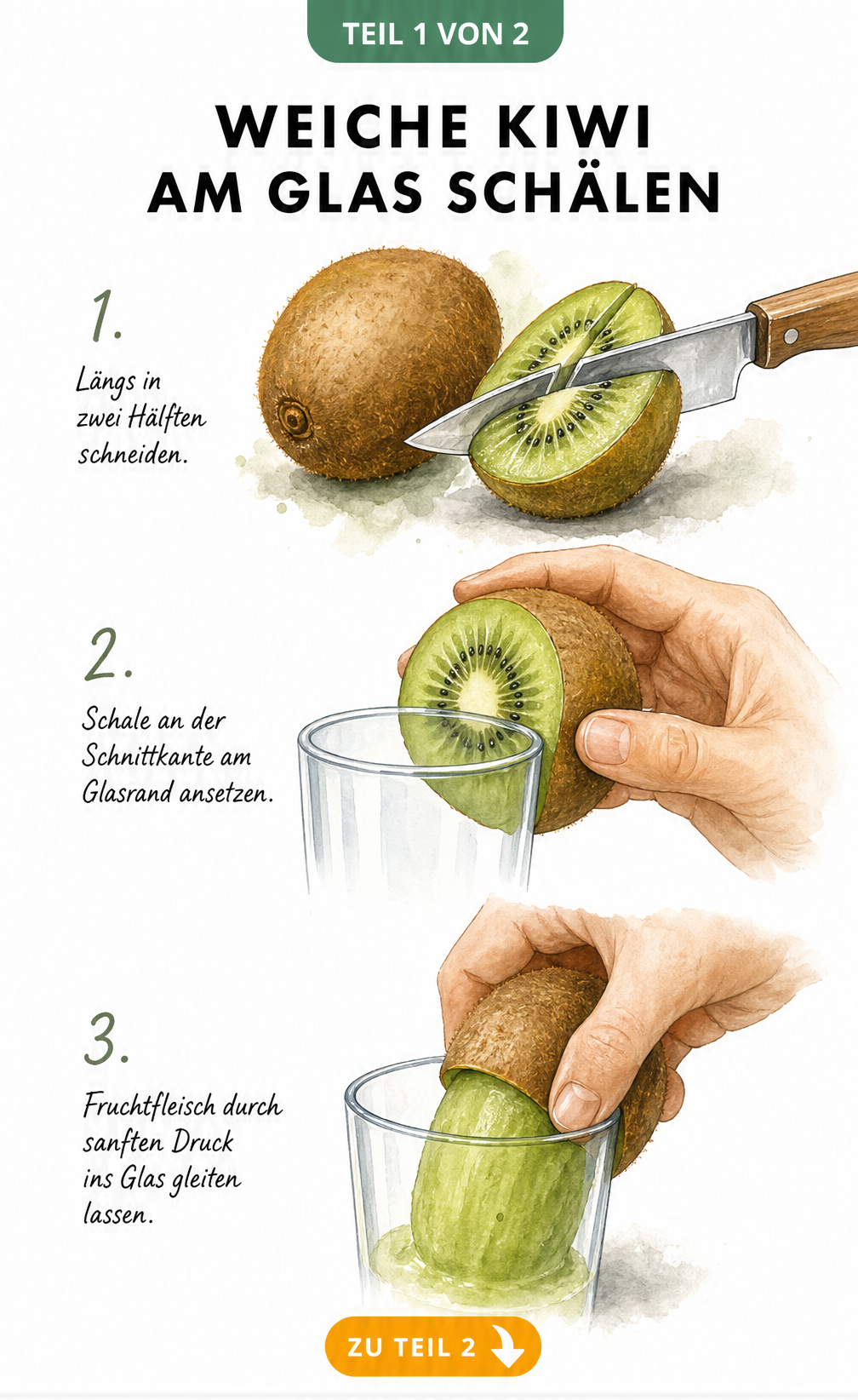 Illustration: Eine weiche Kiwi wird mit einem Messer halbiert und das Fruchtfleisch am Rand eines Wasserglases von der Schale getrennt