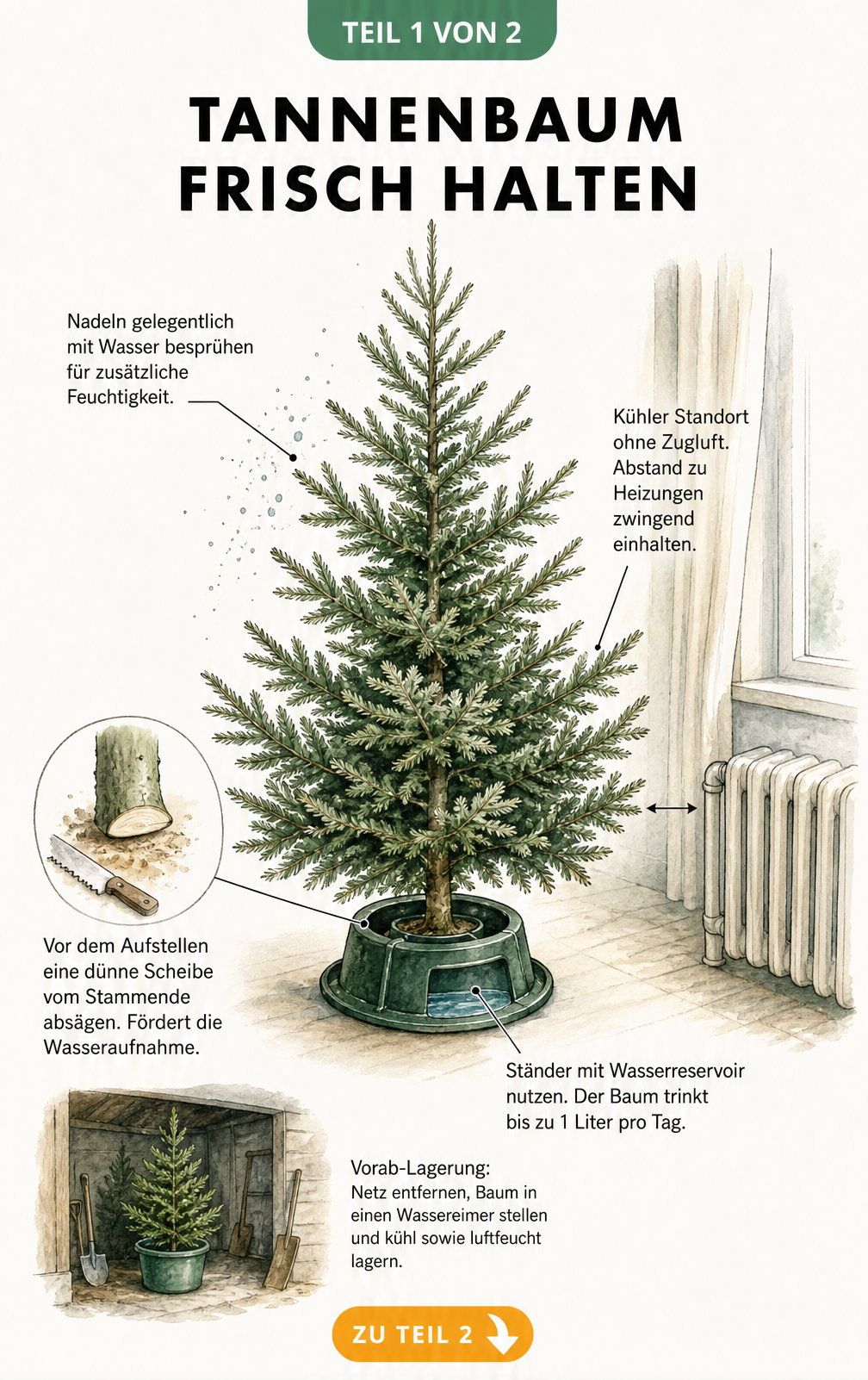Illustration eines Weihnachtsbaums im Wohnzimmer mit Tipps zum Frischhalten wie Wasser besprühen und Abstand zur Heizung