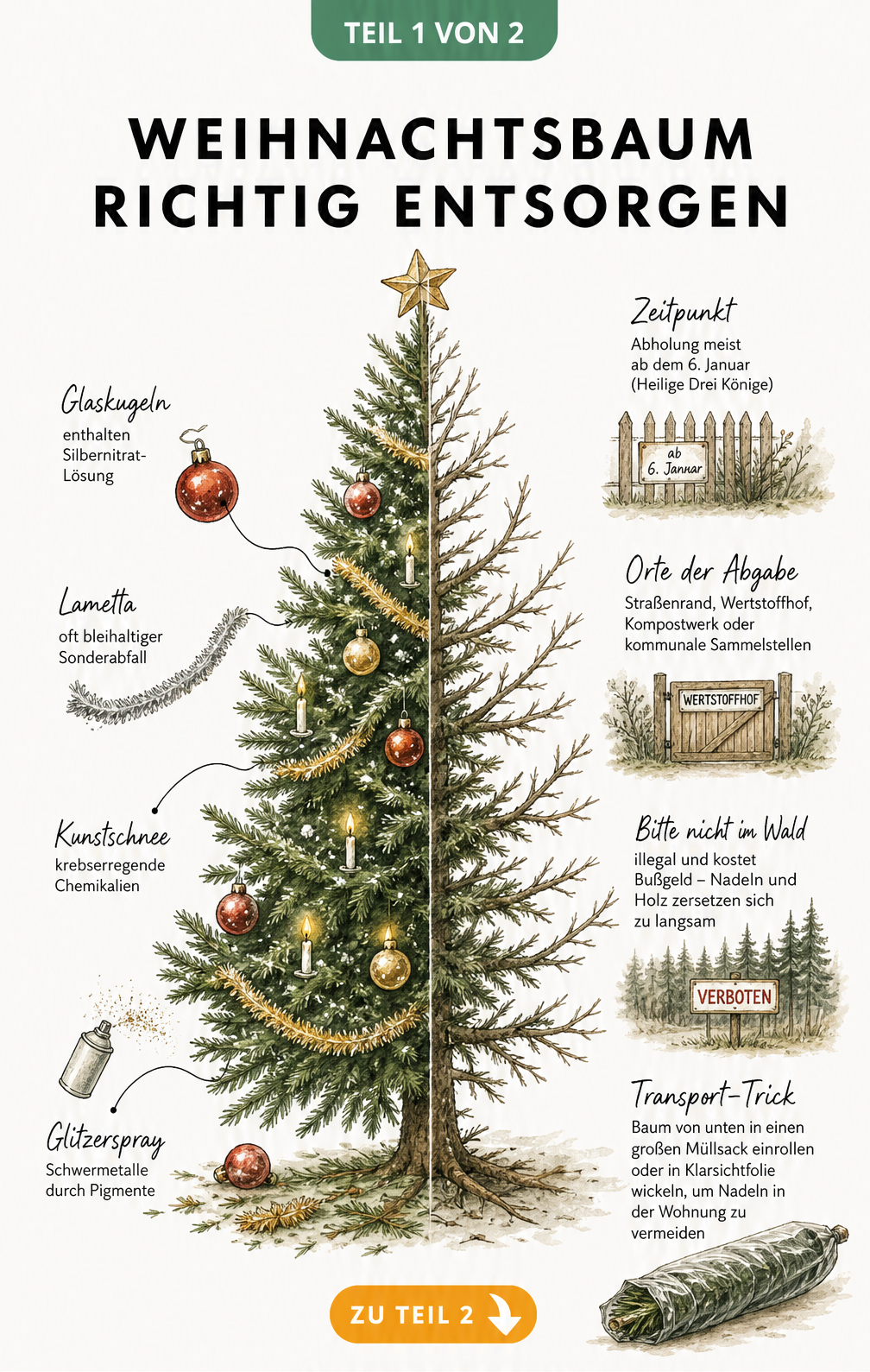Aquarell-Illustration eines Weihnachtsbaums, der links geschmückt und rechts kahl ist, mit Hinweisen zur richtigen Entsorgung