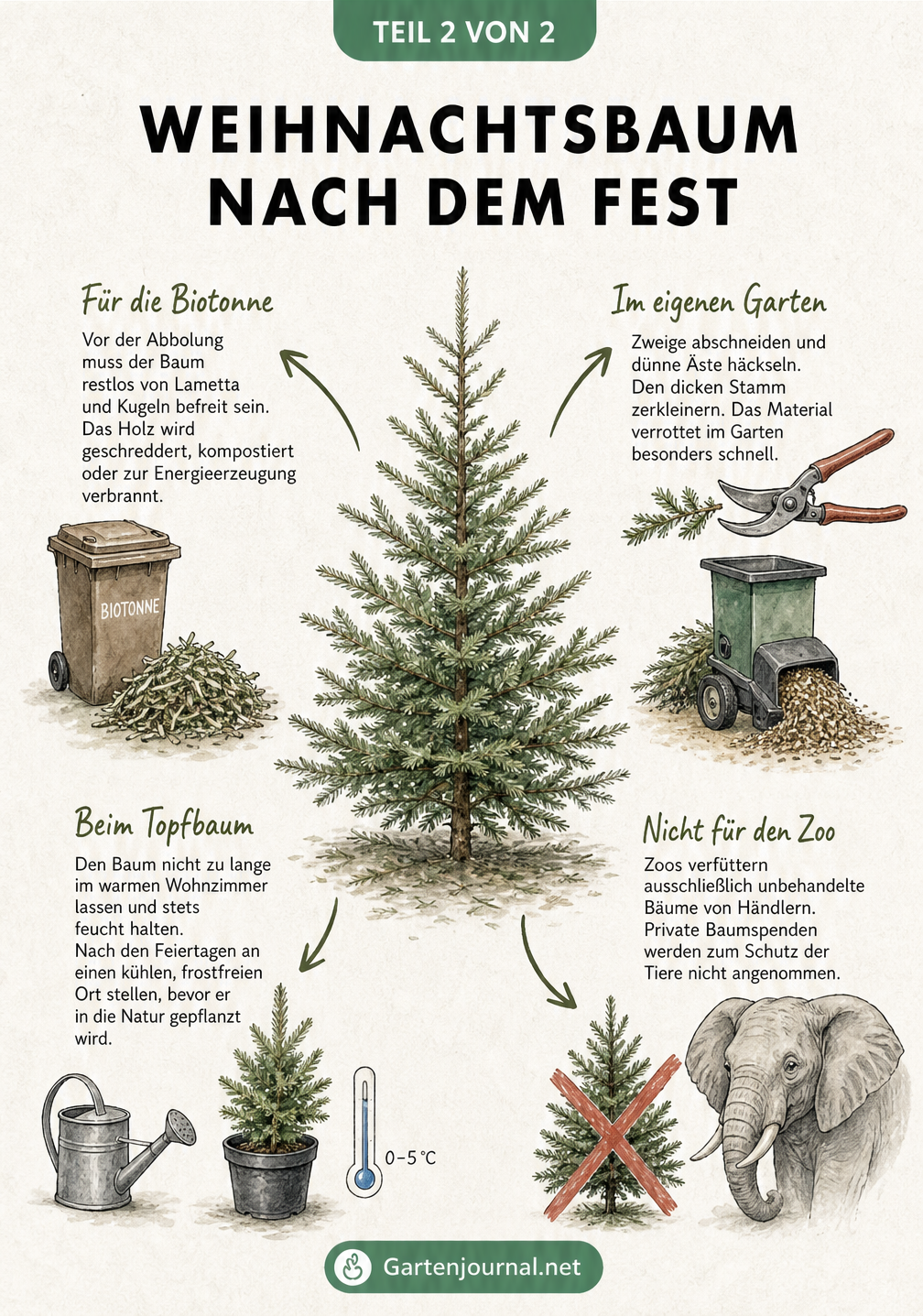 Verwertungsmöglichkeiten für den Weihnachtsbaum nach dem Fest: Biotonne, Kompost, Auspflanzen und Zoo