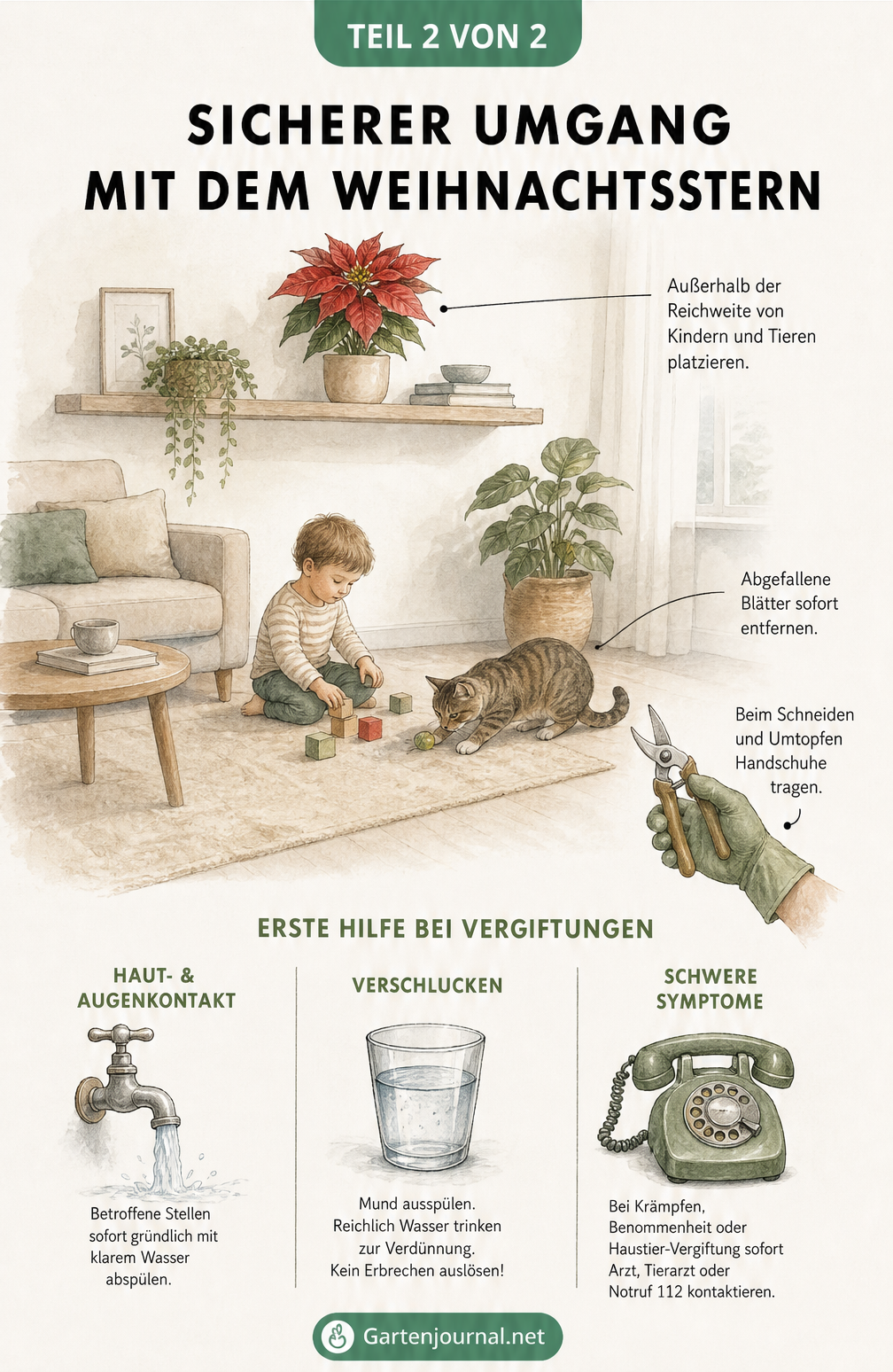 Illustration eines sicheren Wohnzimmers mit Weihnachtsstern außer Reichweite von Kind und Katze sowie Erste-Hilfe-Tipps