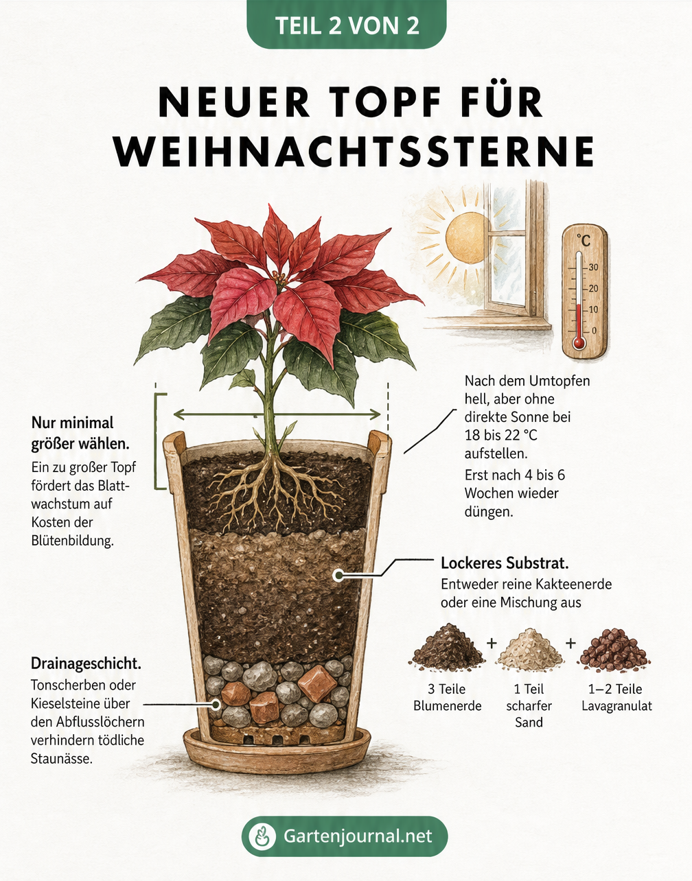 Querschnitt eines Blumentopfs für Weihnachtssterne mit Drainageschicht, lockerer Erde und Hinweisen zur Topfgröße