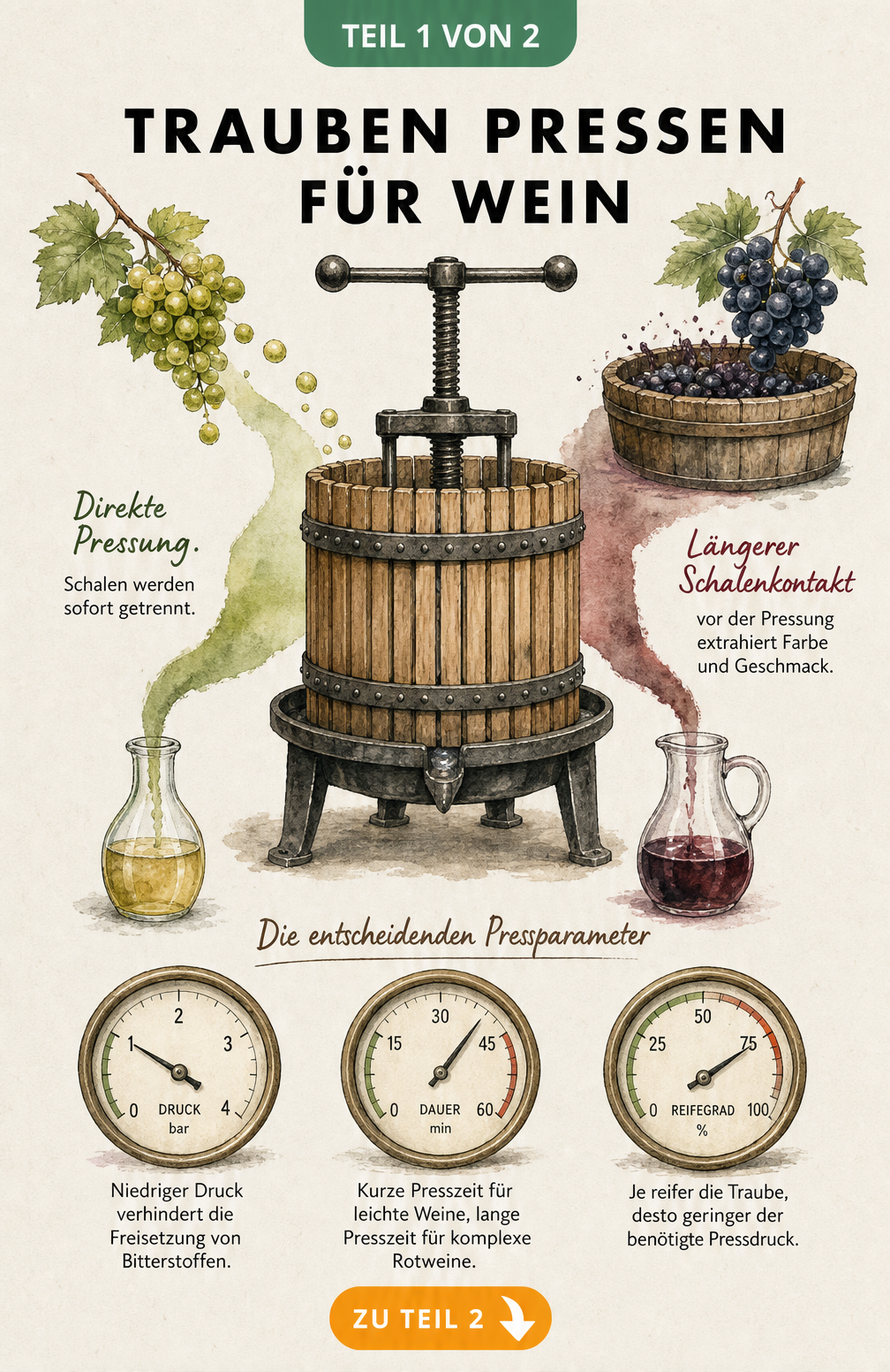 Illustration einer klassischen Korbpresse für Wein mit Farbverläufen für Weißwein und Rotwein sowie Messinstrumenten für Druck, Dauer und Reifegrad