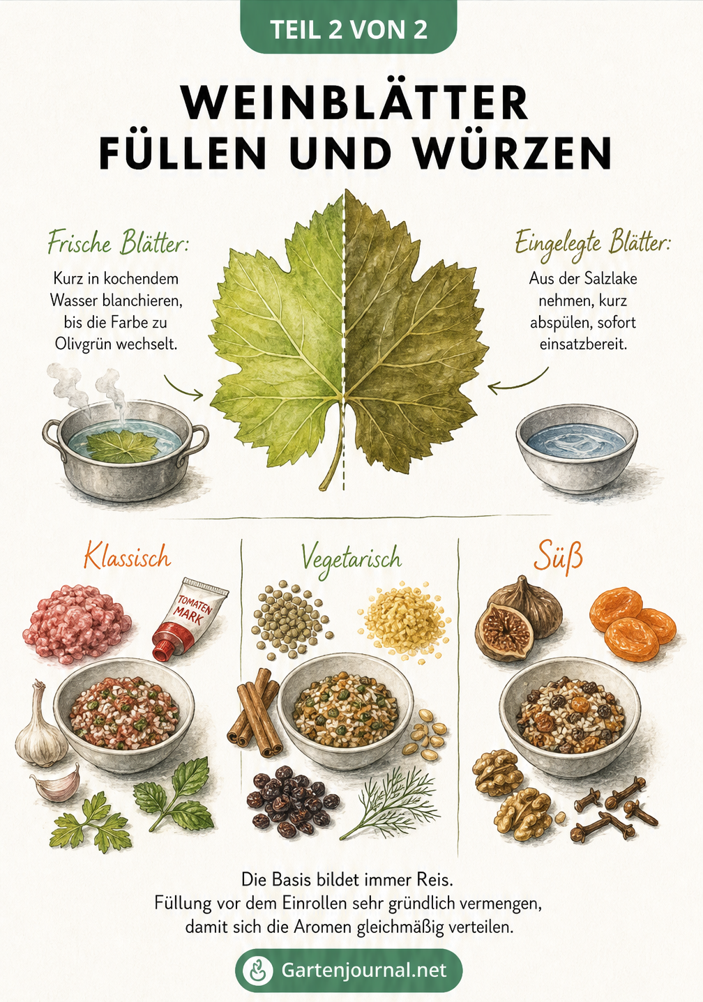 Schritt-für-Schritt-Anleitung zum Füllen und Rollen von Weinblättern sowie zum Schichten im Kochtopf