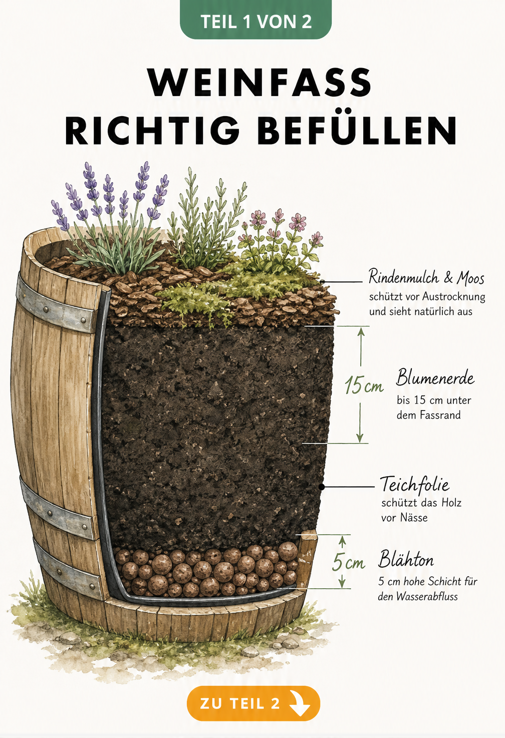 Querschnitt eines halben Weinfasses mit Teichfolie, Blähton-Drainage, Blumenerde und Moos-Abdeckung