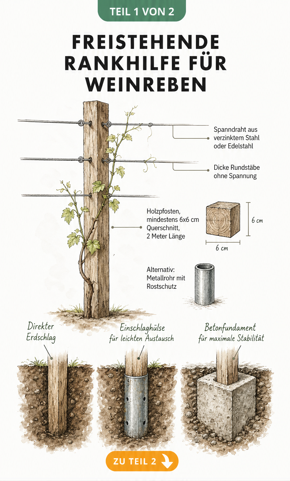 Architekturskizze eines Holzpfostens als Rankhilfe für Weinreben mit Spanndraht und drei verschiedenen Bodenverankerungen