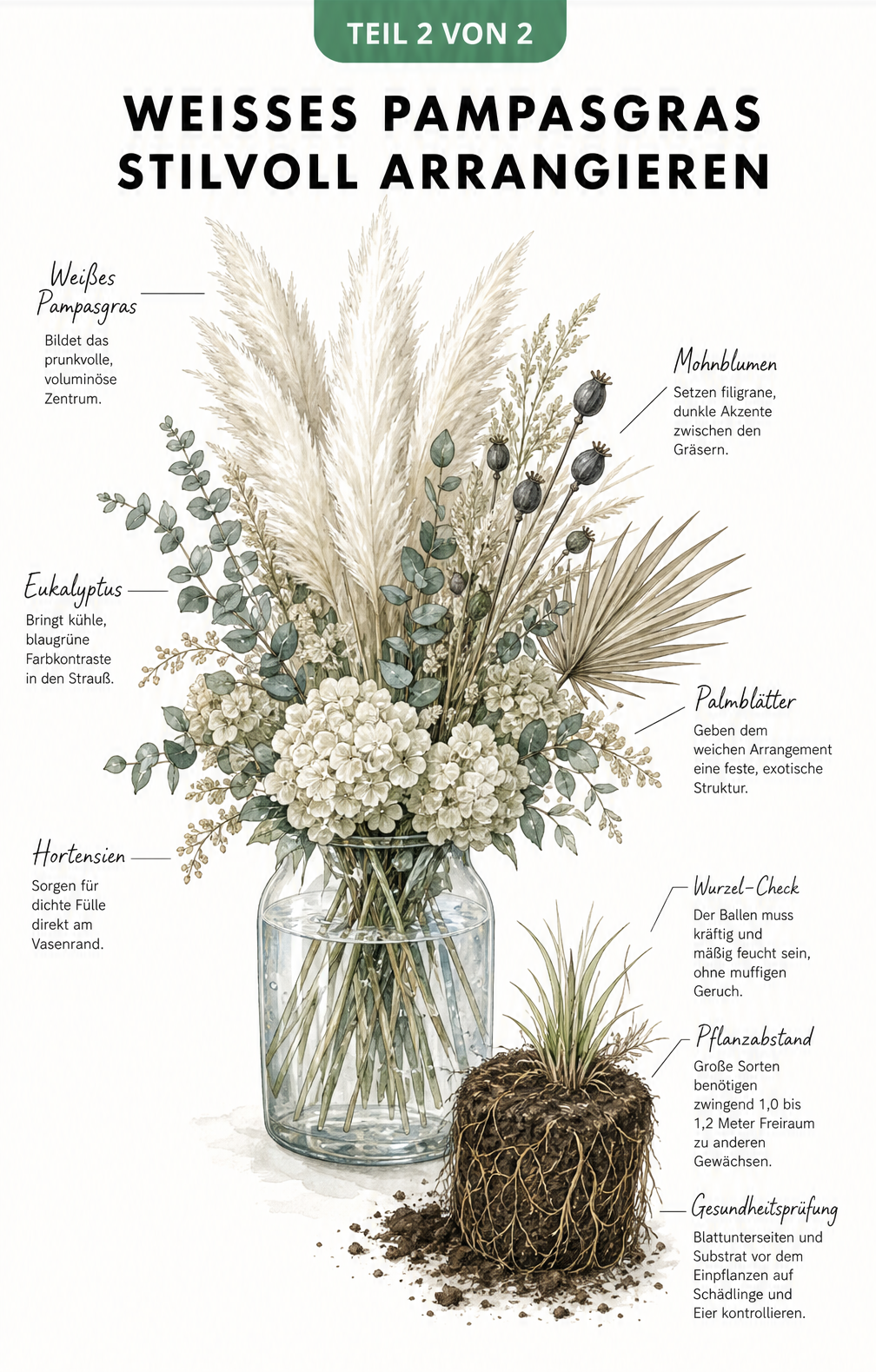 Botanische Illustration eines Trockenblumen-Arrangements mit weißem Pampasgras in einer Glasvase