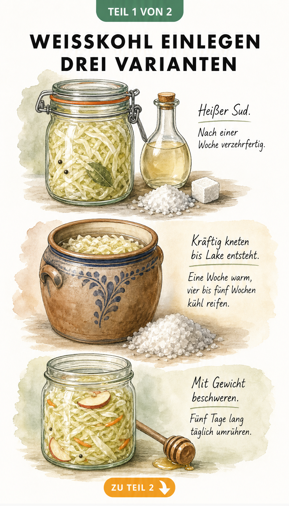 Illustration von drei Methoden zum Weißkohl einlegen: heißer Sud im Bügelglas, Gärtopf für milchsaures Einlegen und Glas mit Honig, Karotten und Äpfeln.