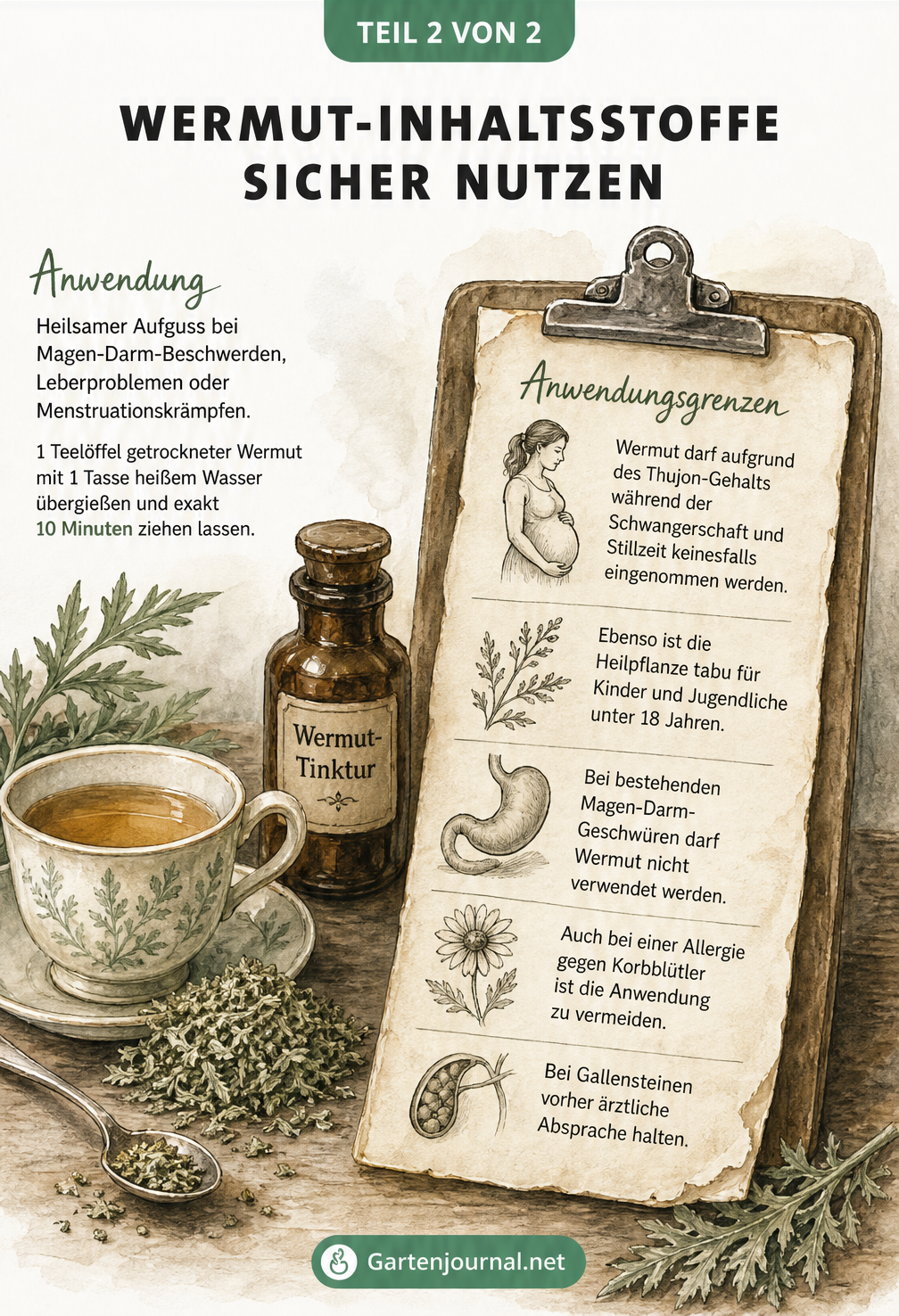Illustration einer Apotheker-Werkstatt mit Teetasse, Wermutkraut und einem Klemmbrett mit Anwendungsgrenzen