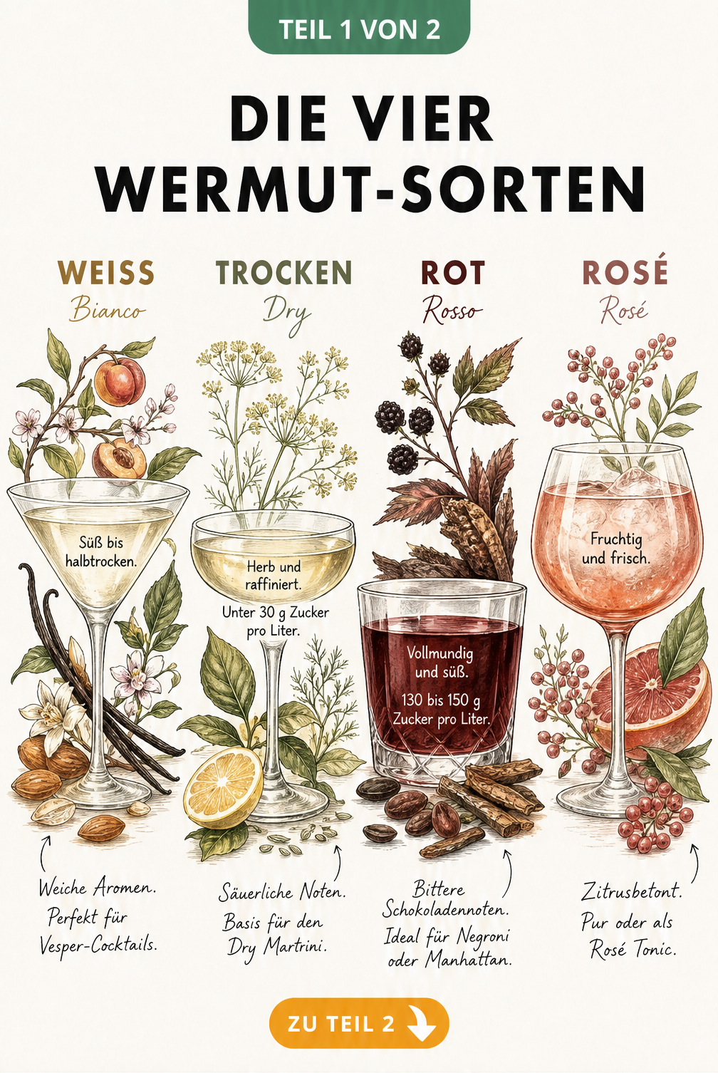 Vier Wermut-Gläser mit botanischen Illustrationen der Zutaten für Bianco, Dry, Rosso und Rosé