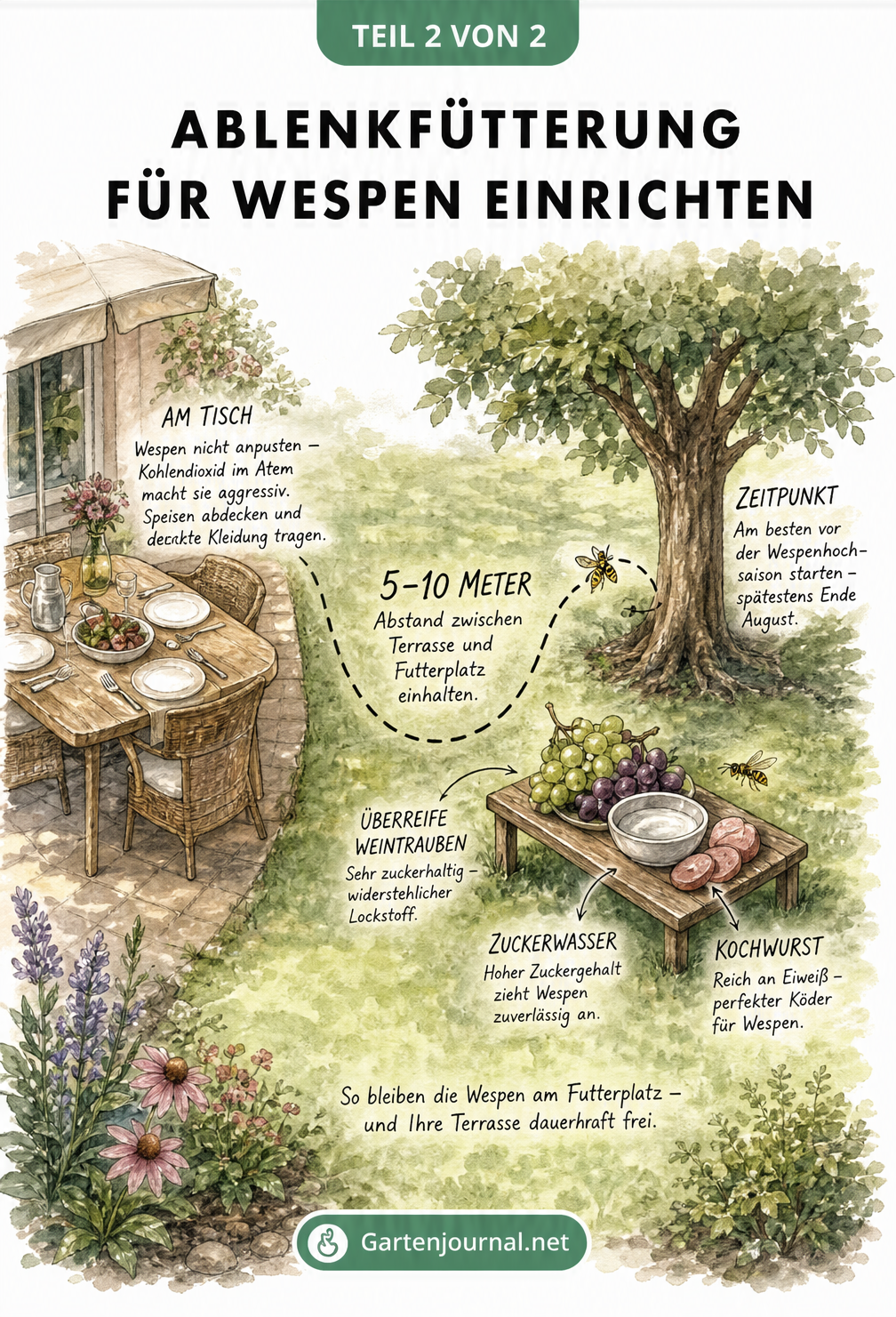 Isometrische Skizze einer Gartenlandschaft, die eine Ablenkfütterung für Wespen in fünf bis zehn Metern Entfernung zur Terrasse zeigt.