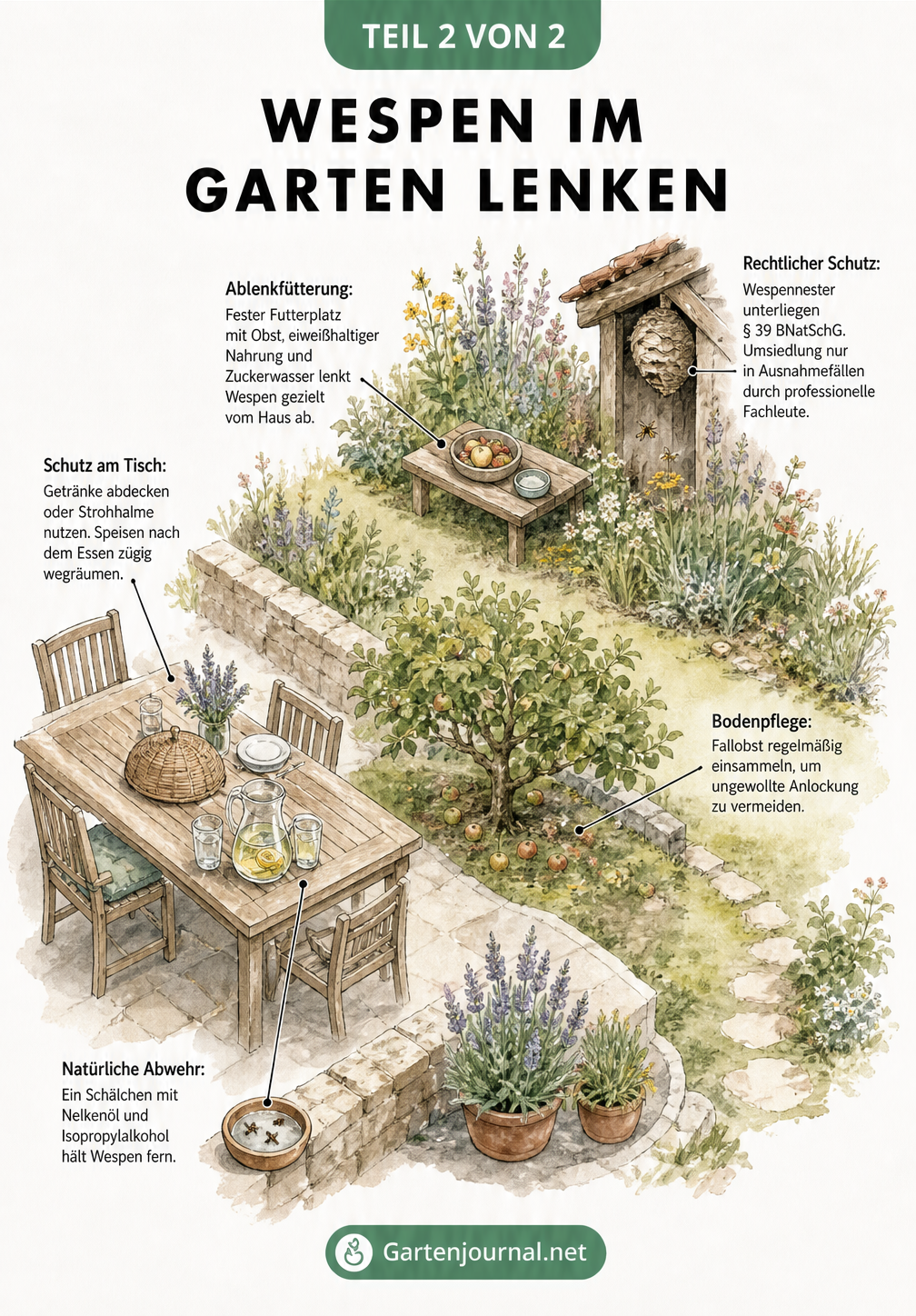 Isometrische Gartenansicht, die zeigt, wie man Wespen durch Ablenkfütterung und richtiges Verhalten vom Tisch fernhält