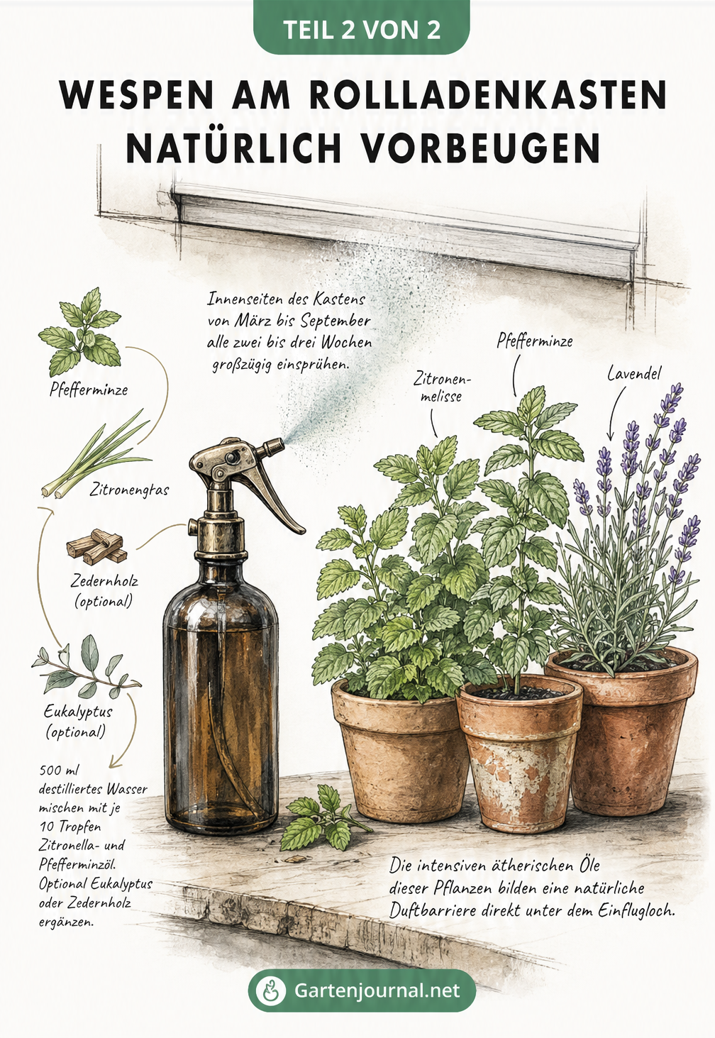 Botanische Illustration einer Sprühflasche mit ätherischen Ölen und Töpfen mit Zitronenmelisse, Pfefferminze und Lavendel zur Wespenabwehr