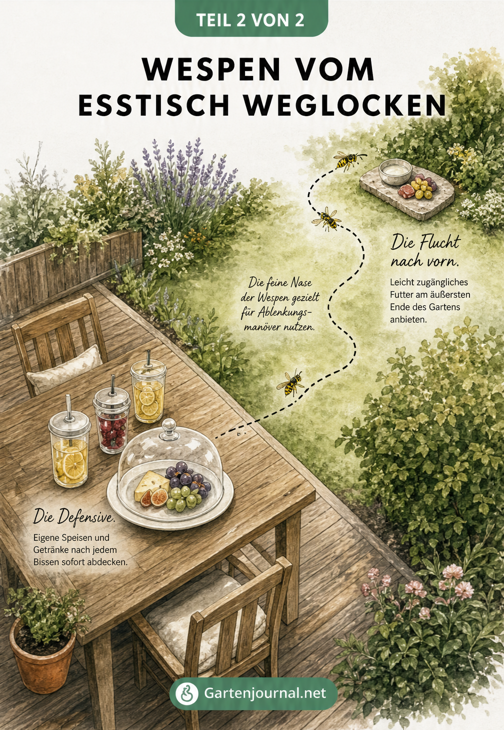 Isometrische Gartenansicht, die zeigt, wie Wespen von der Terrasse zu einem weit entfernten Futterplatz gelockt werden.