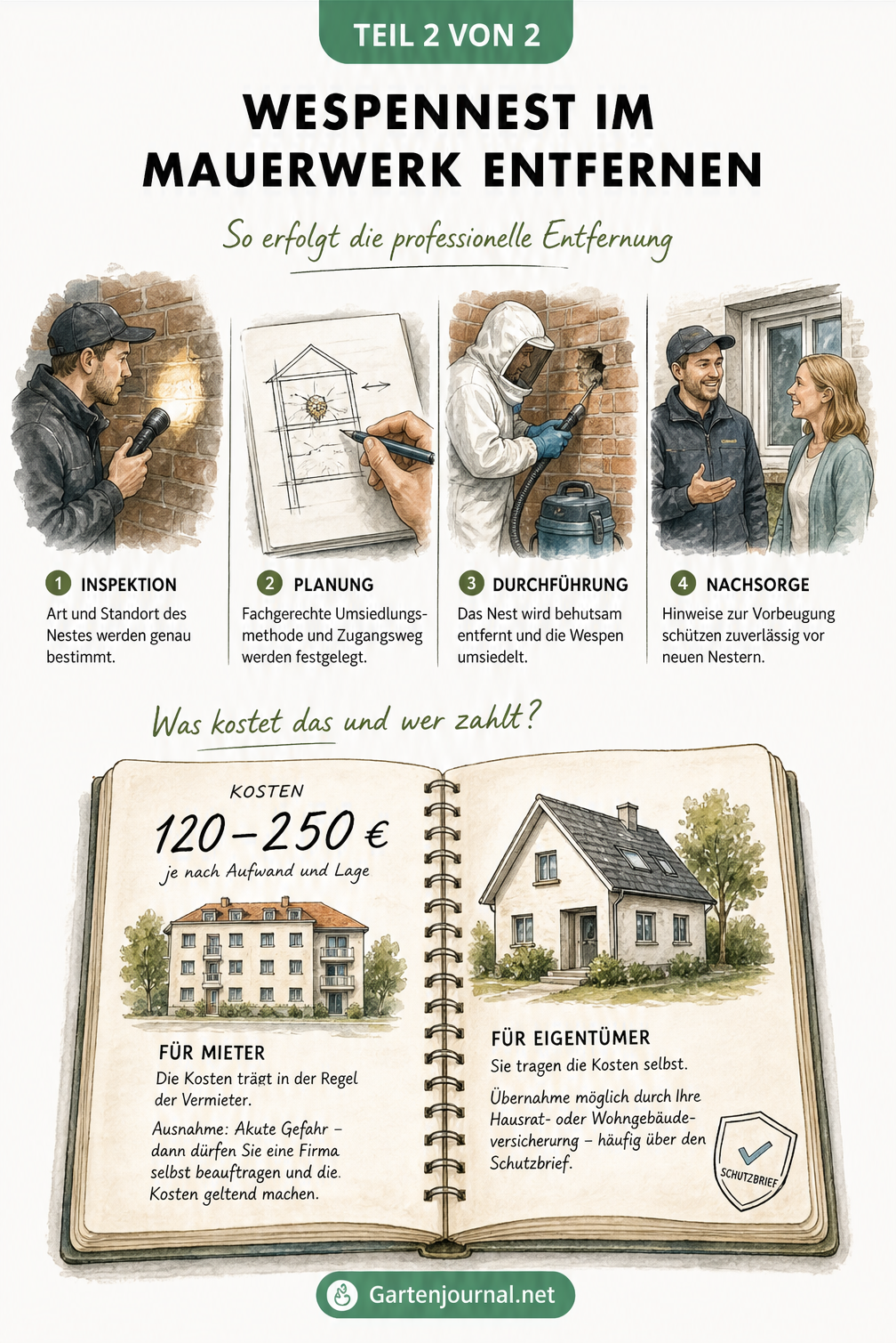 Illustration des Ablaufs einer professionellen Wespennest-Entfernung durch einen Schädlingsbekämpfer und Übersicht der Kosten für Mieter und Eigentümer.