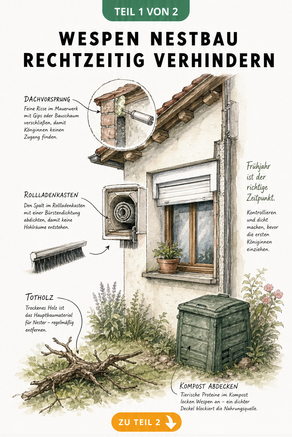 Architekturskizze einer Hausfassade mit Schwachstellen für Wespennester wie Risse am Dachvorsprung und Rollladenkasten sowie Totholz im Garten.