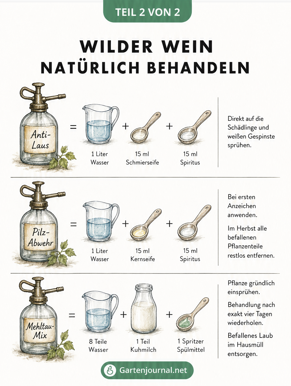 Illustration von drei Sprühflaschen mit natürlichen Hausmitteln gegen Wollläuse, Blattflecken und Mehltau am Wilden Wein
